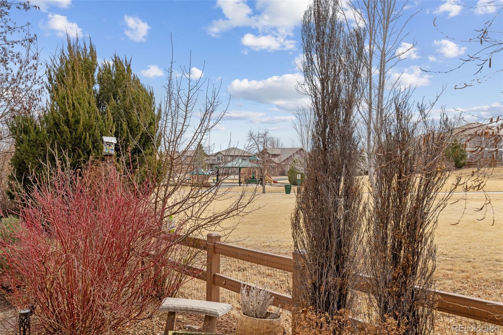 MLS Image #41 for 16498 e black horn drive,parker, Colorado