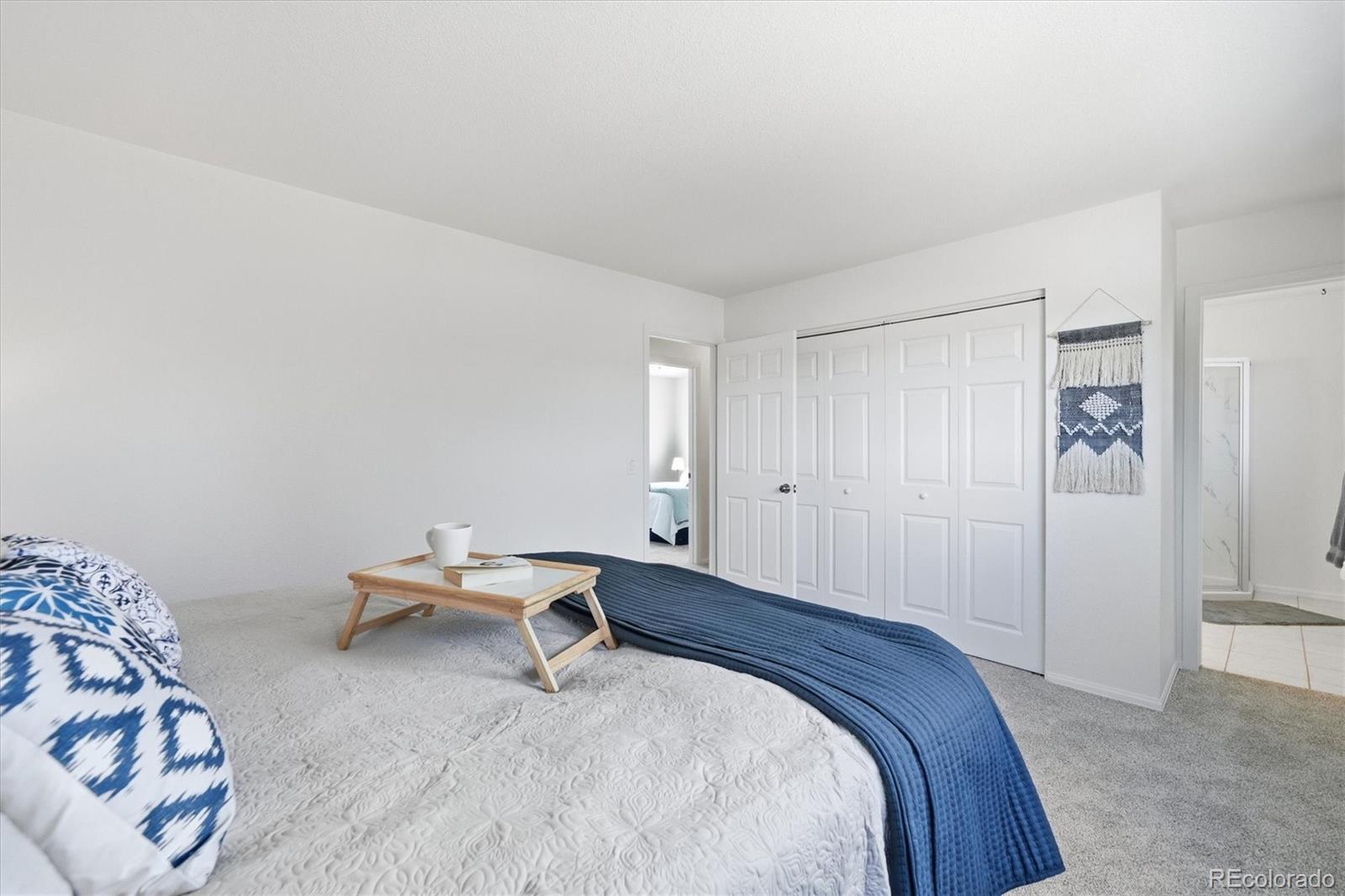 MLS Image #17 for 8169  webster street,arvada, Colorado