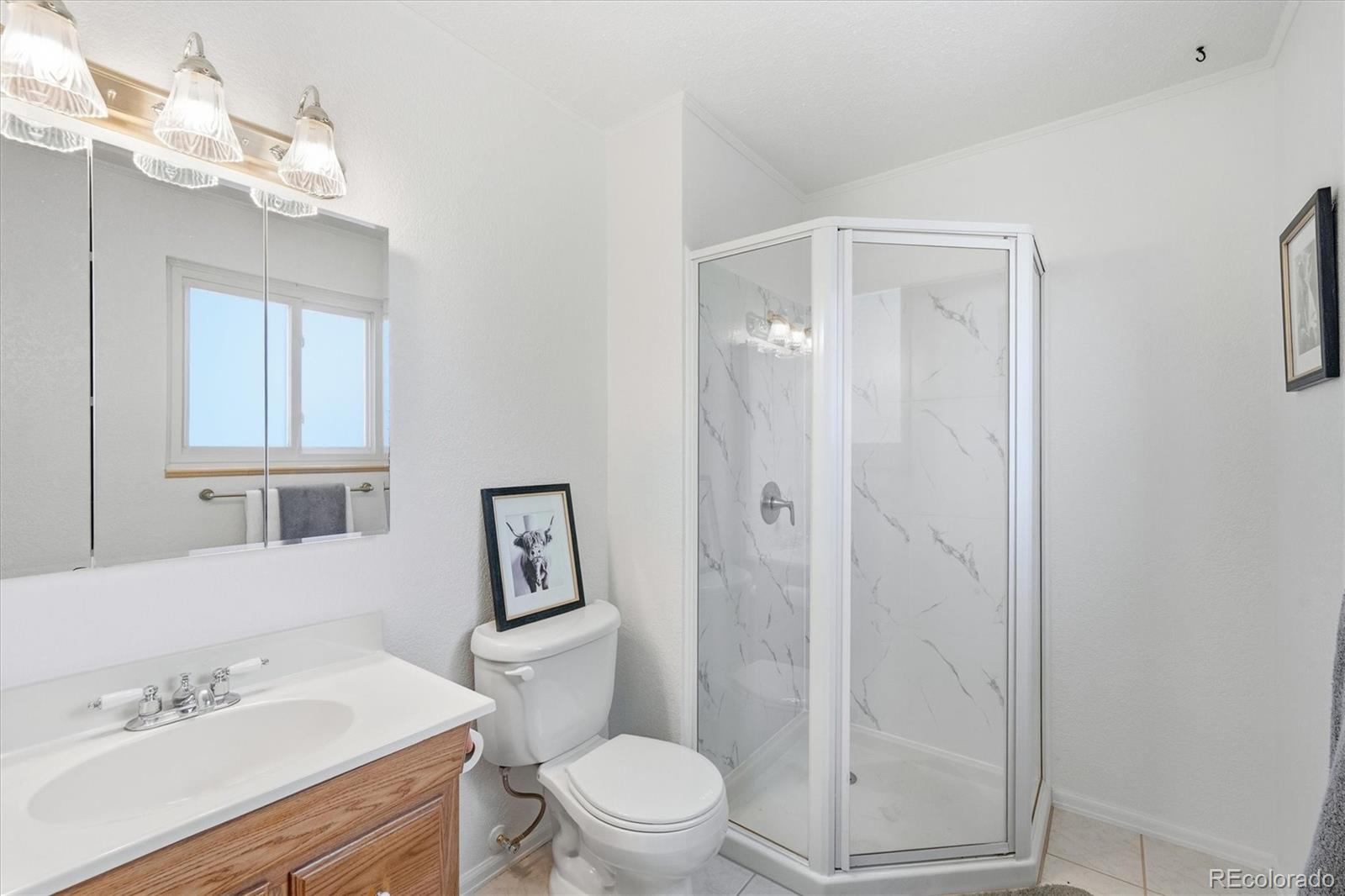 MLS Image #18 for 8169  webster street,arvada, Colorado