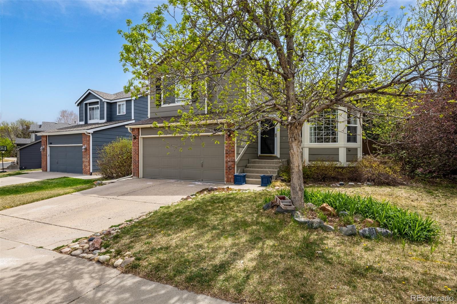 MLS Image #1 for 9545  cove creek drive,highlands ranch, Colorado