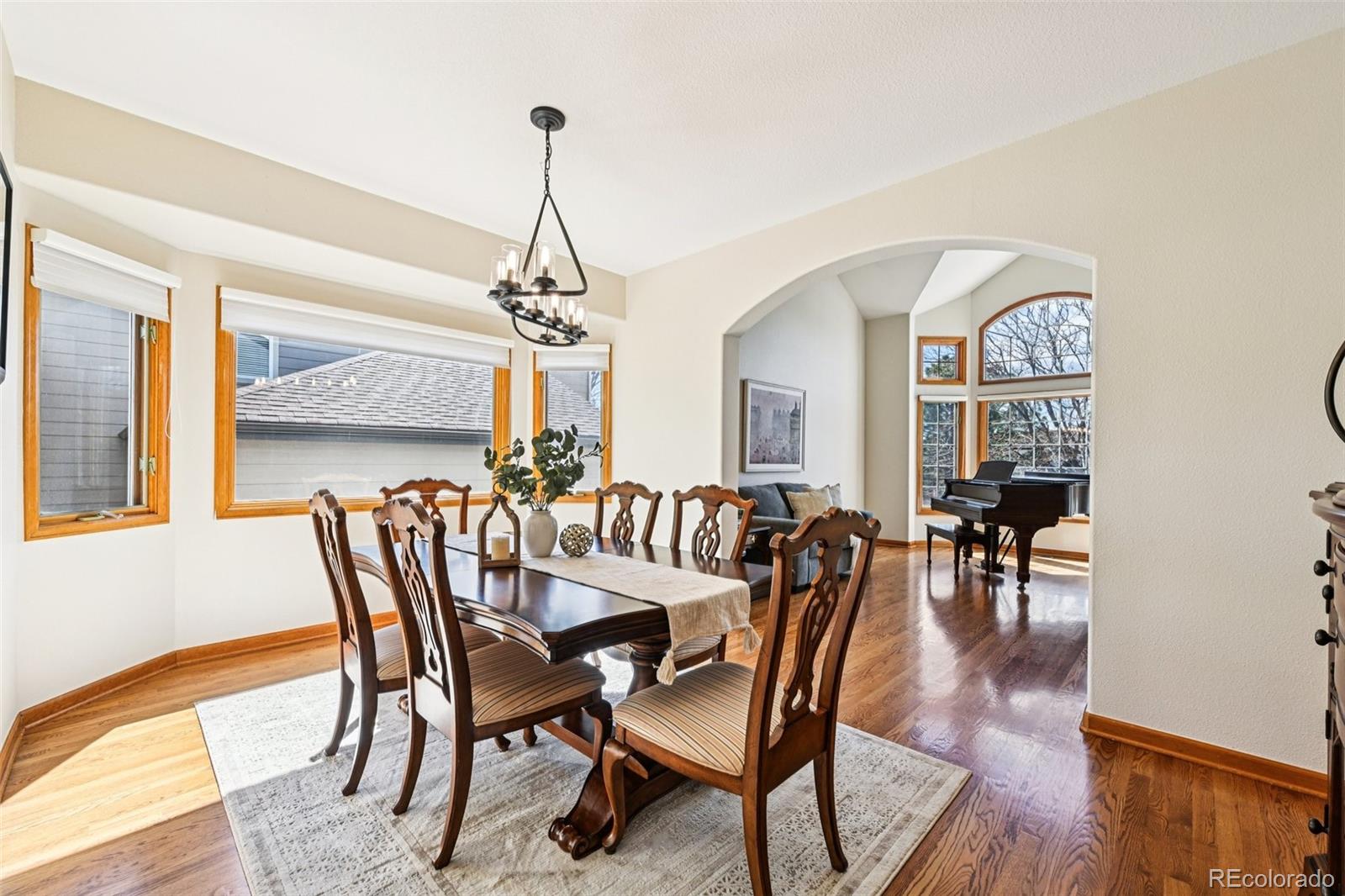 MLS Image #17 for 10166  knoll circle,highlands ranch, Colorado