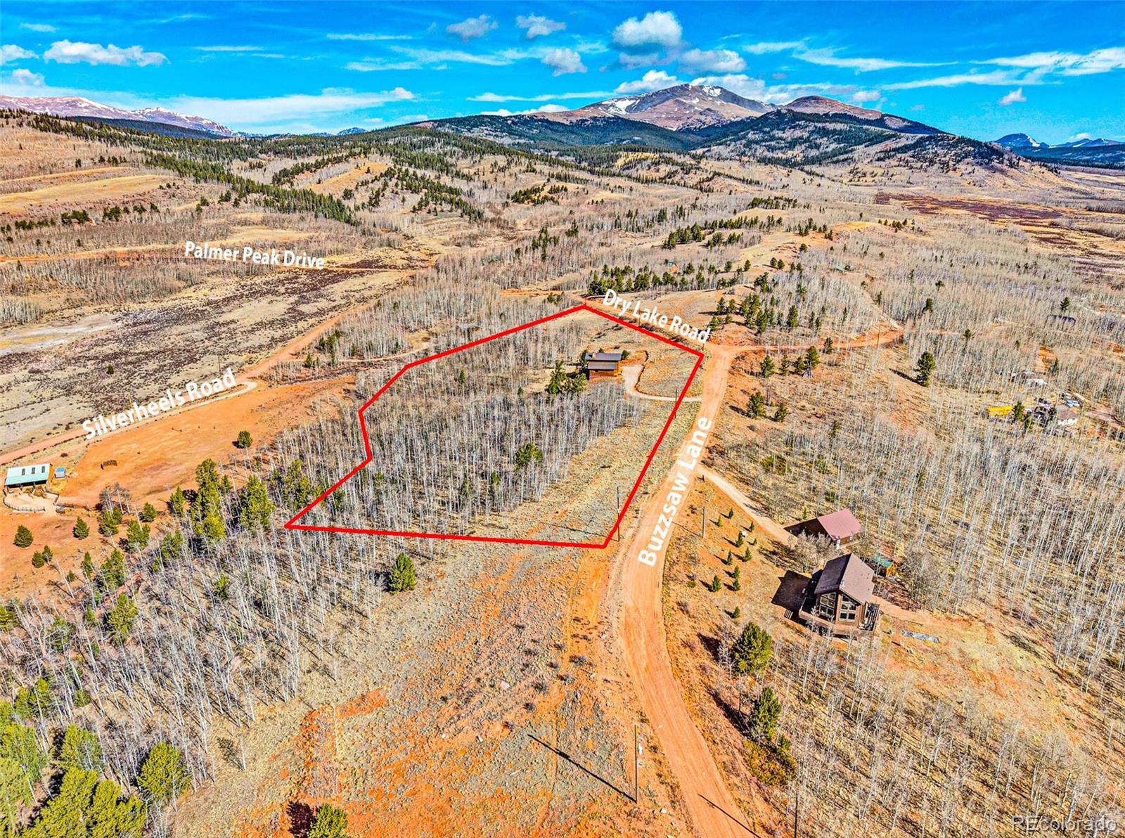 MLS Image #14 for 31  buzzsaw lane,fairplay, Colorado