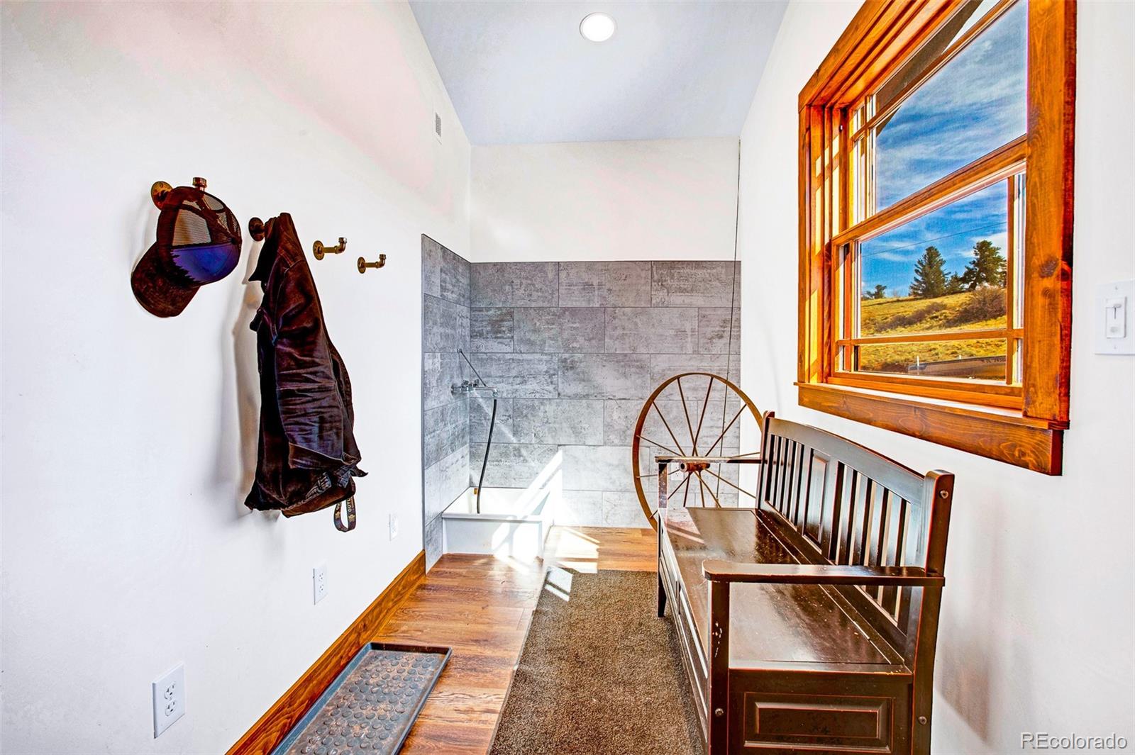 MLS Image #42 for 31  buzzsaw lane,fairplay, Colorado