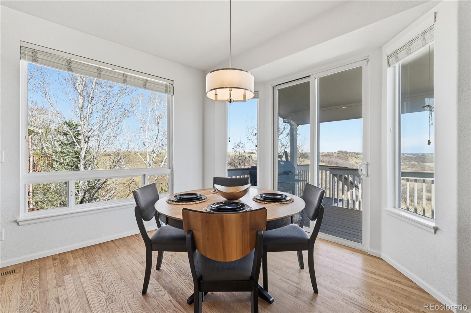 MLS Image #15 for 7852  solstice way,castle rock, Colorado