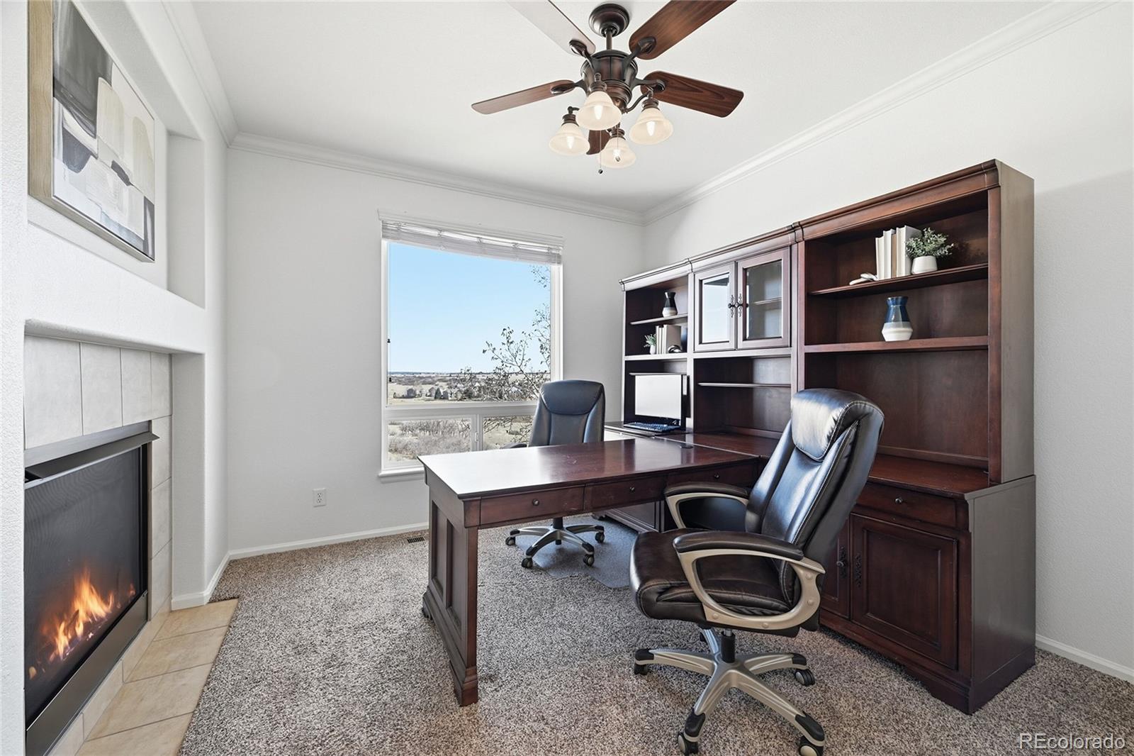 MLS Image #6 for 7852  solstice way,castle rock, Colorado