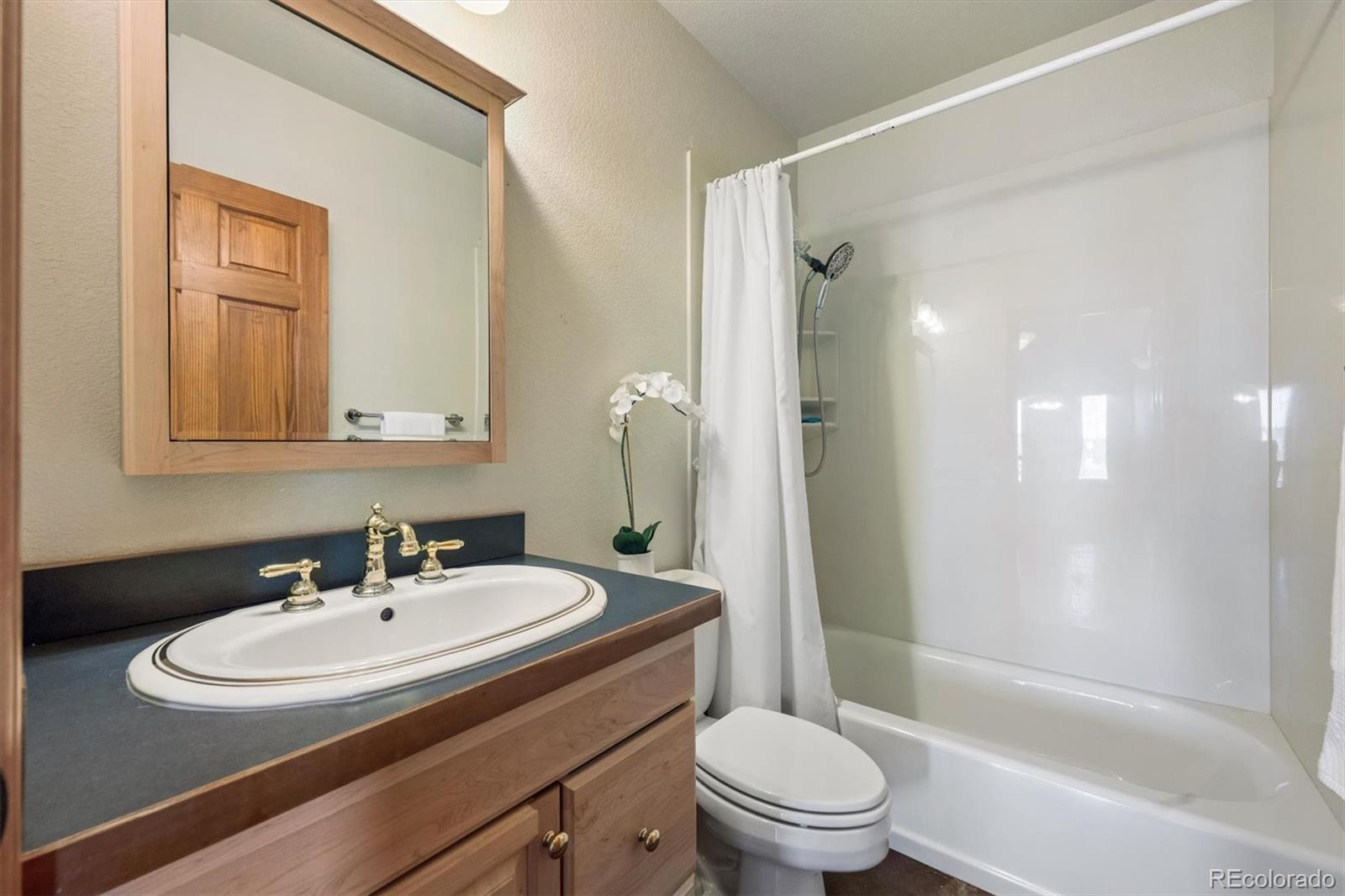MLS Image #16 for 43719  evening star court,elizabeth, Colorado