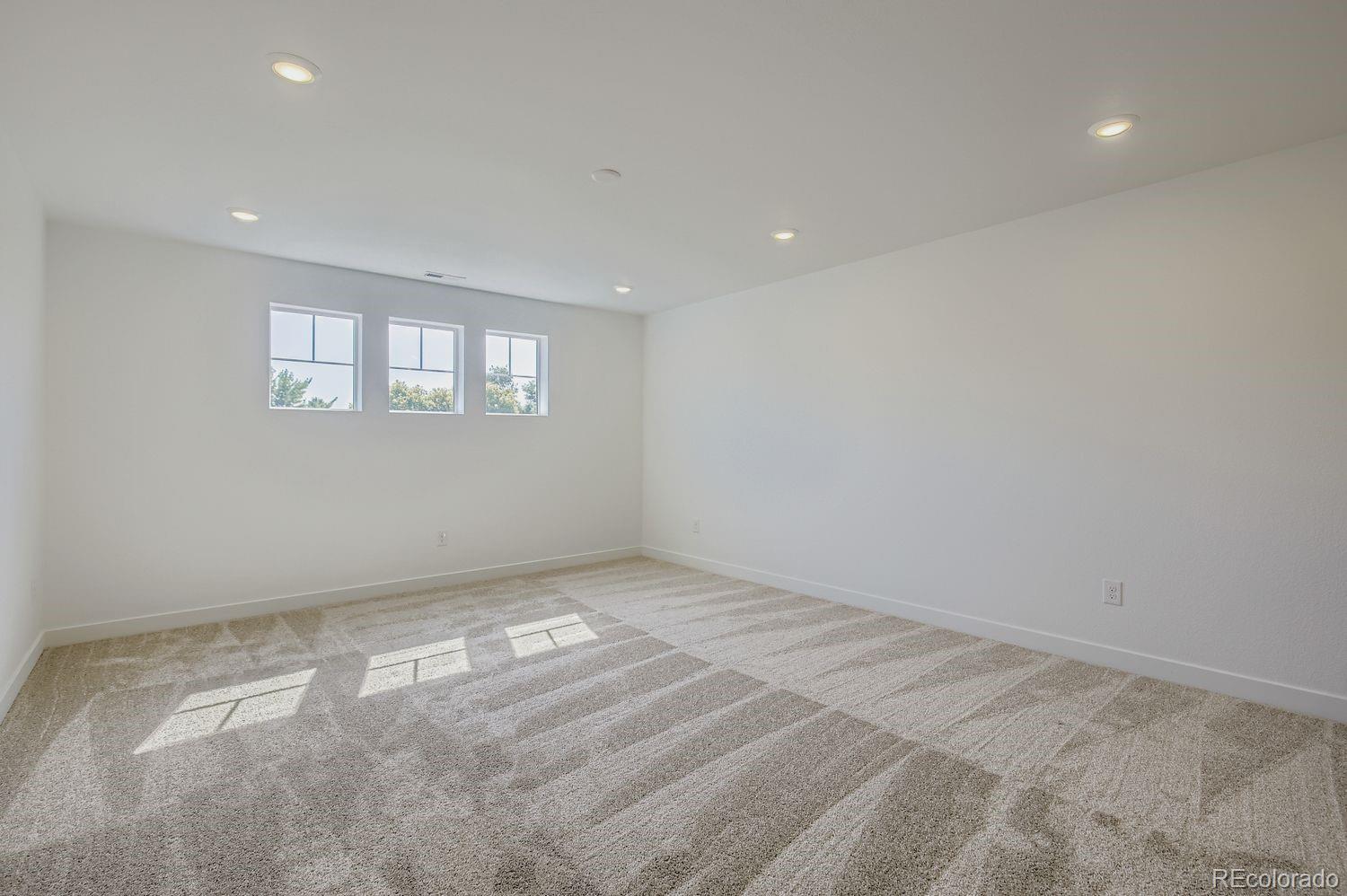 MLS Image #13 for 3156  ironton drive,loveland, Colorado