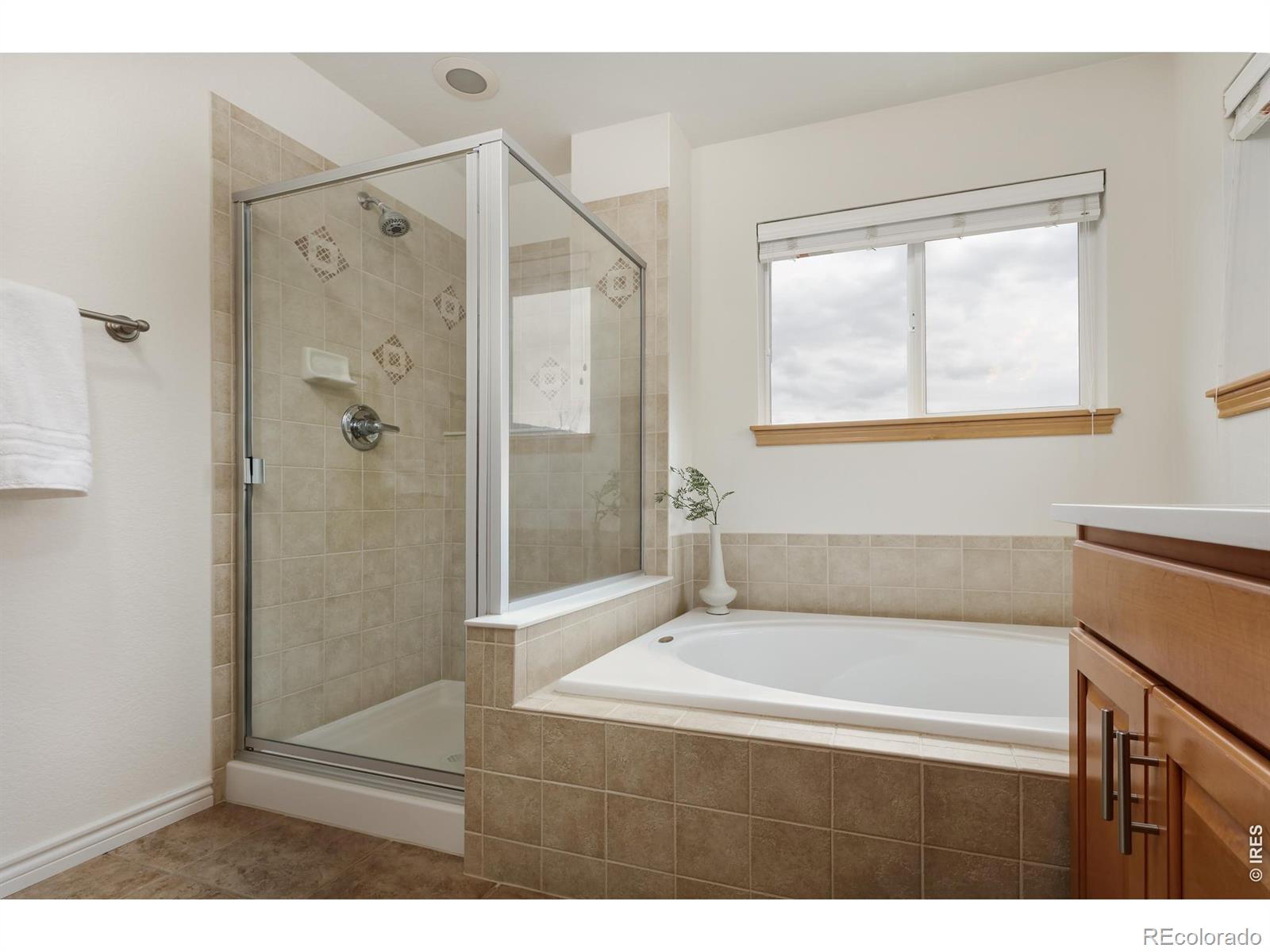 MLS Image #17 for 103  estes court,lyons, Colorado