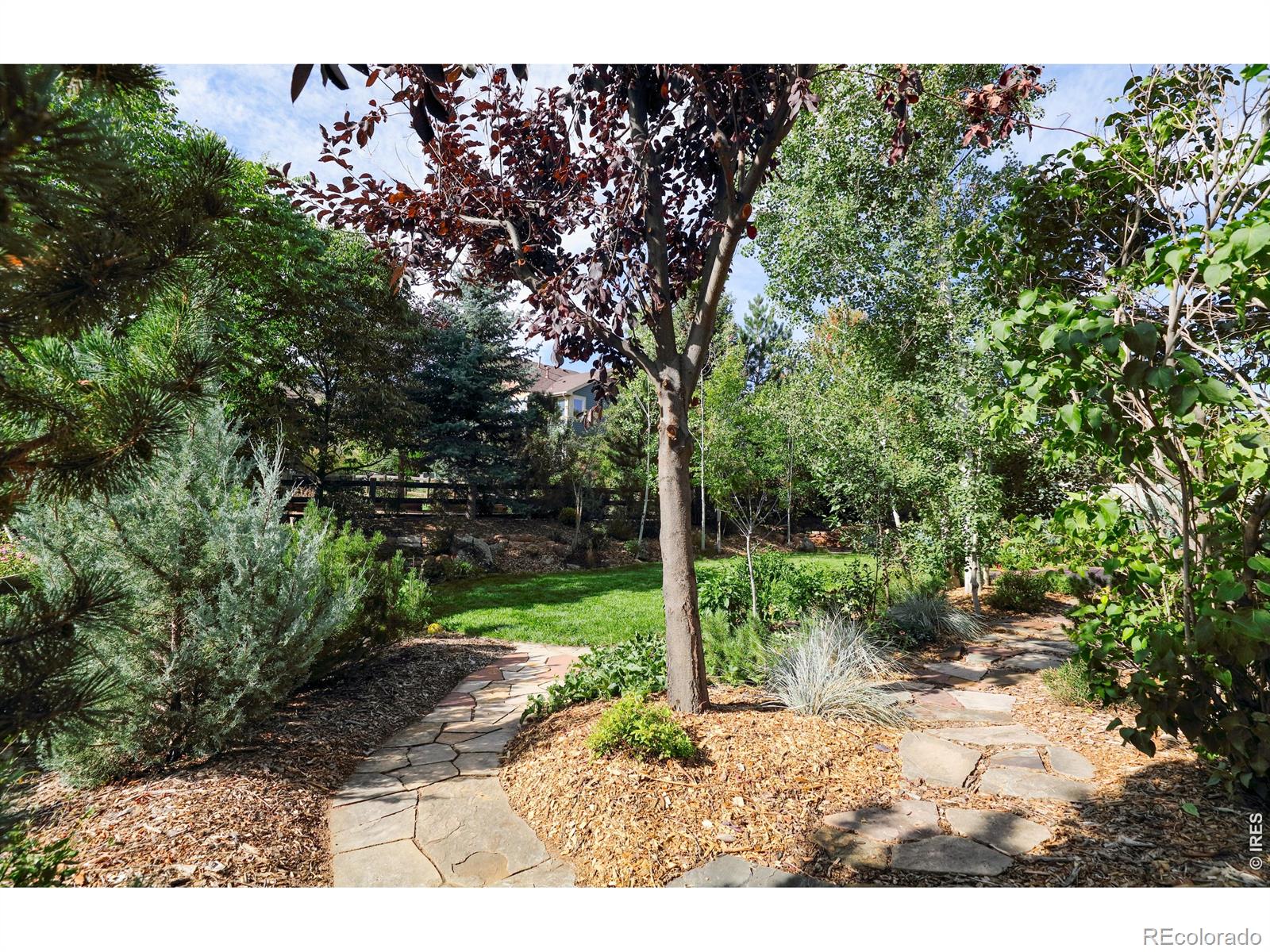 MLS Image #35 for 103  estes court,lyons, Colorado