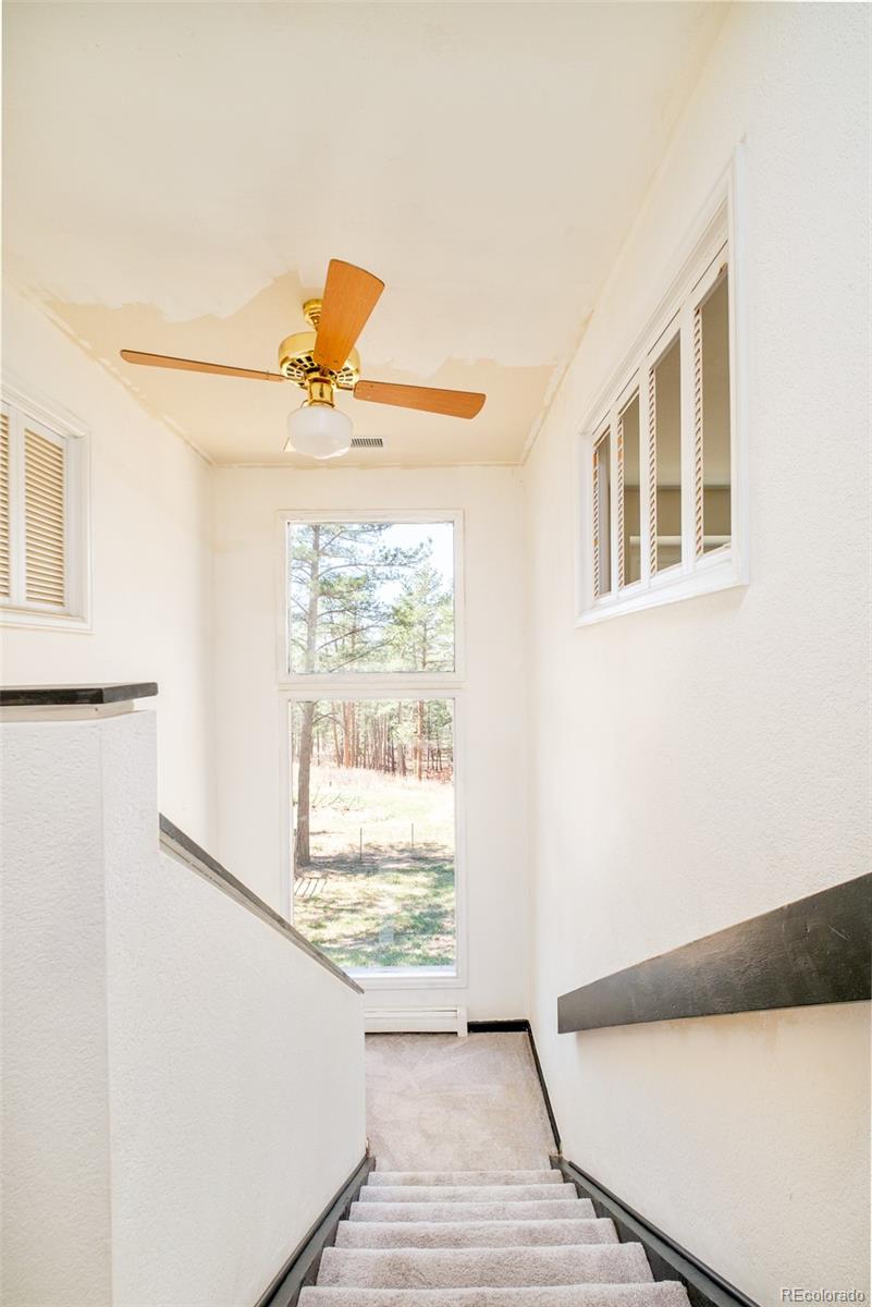 MLS Image #18 for 591  nob hill trail,franktown, Colorado