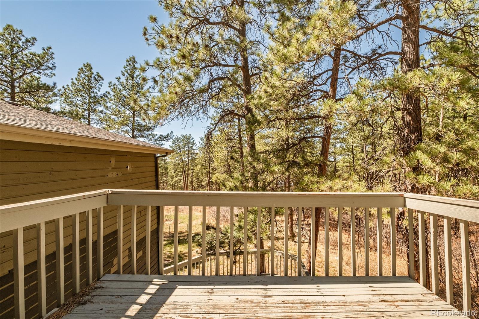 MLS Image #21 for 591  nob hill trail,franktown, Colorado