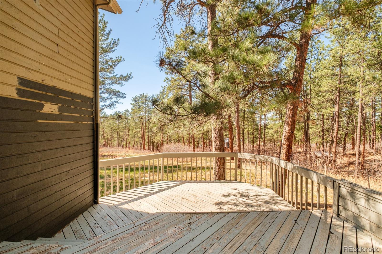 MLS Image #32 for 591  nob hill trail,franktown, Colorado