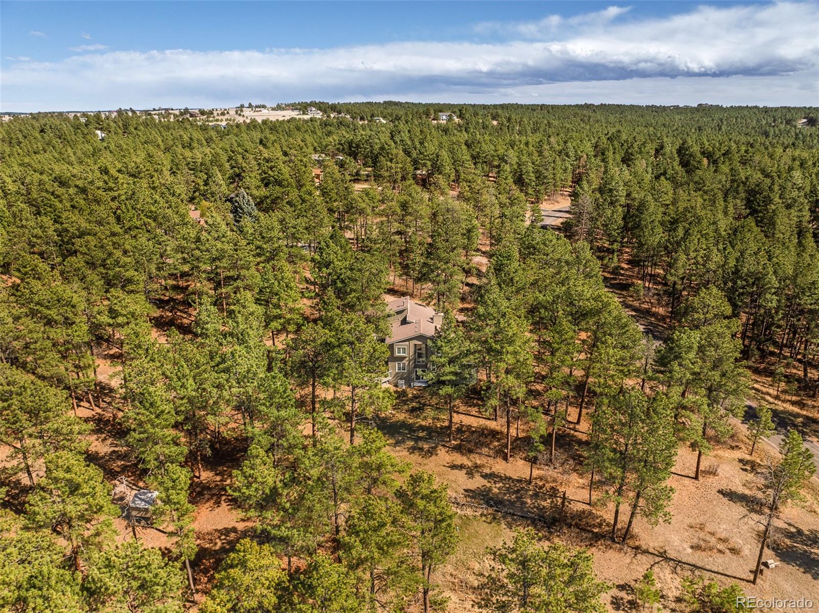 MLS Image #35 for 591  nob hill trail,franktown, Colorado