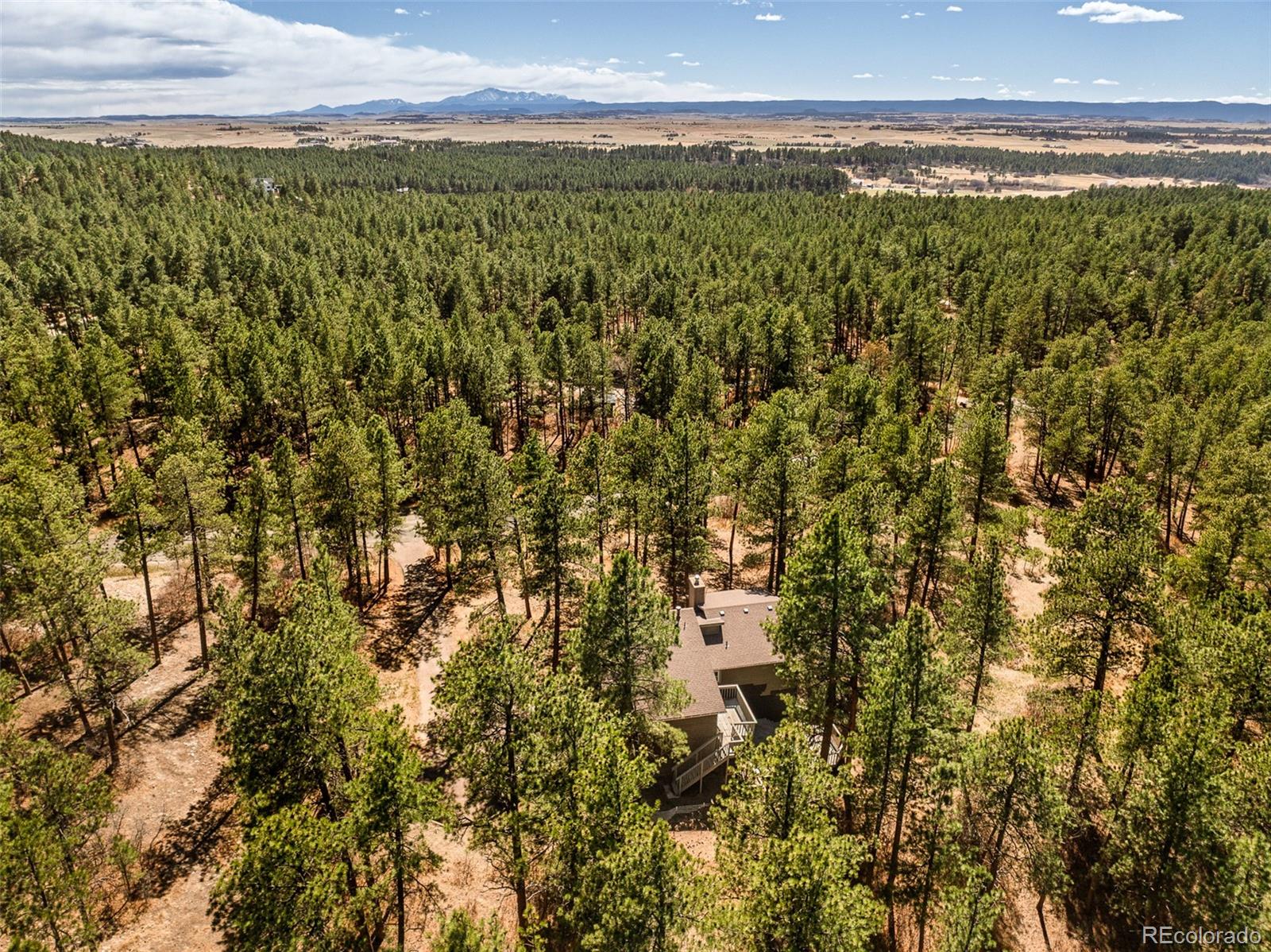 MLS Image #41 for 591  nob hill trail,franktown, Colorado