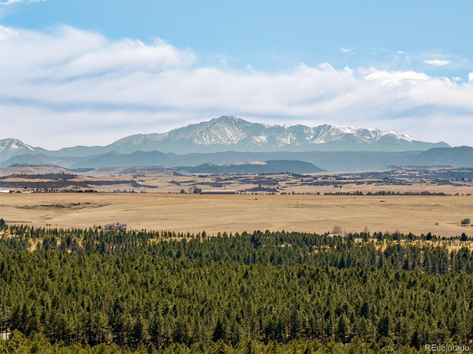 MLS Image #42 for 591  nob hill trail,franktown, Colorado