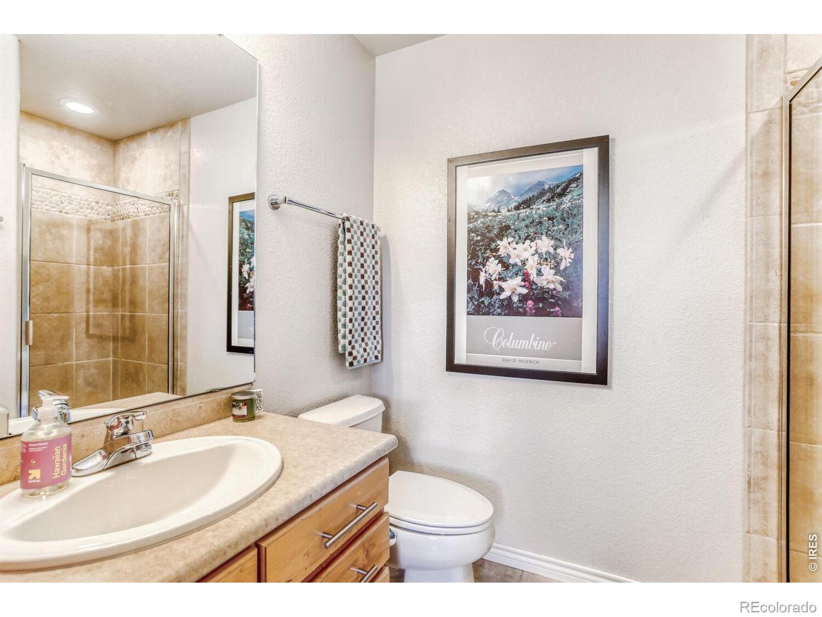 MLS Image #31 for 1043  wyndemere circle,longmont, Colorado
