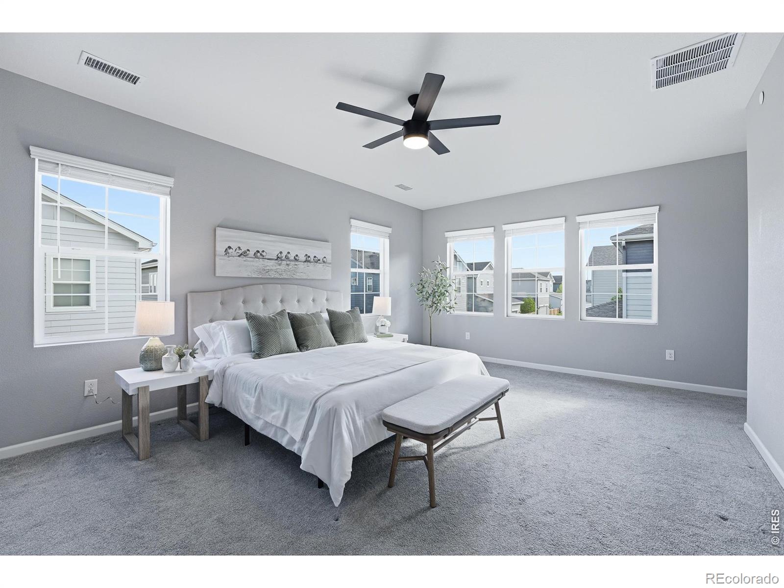 MLS Image #21 for 10094  flower street,broomfield, Colorado
