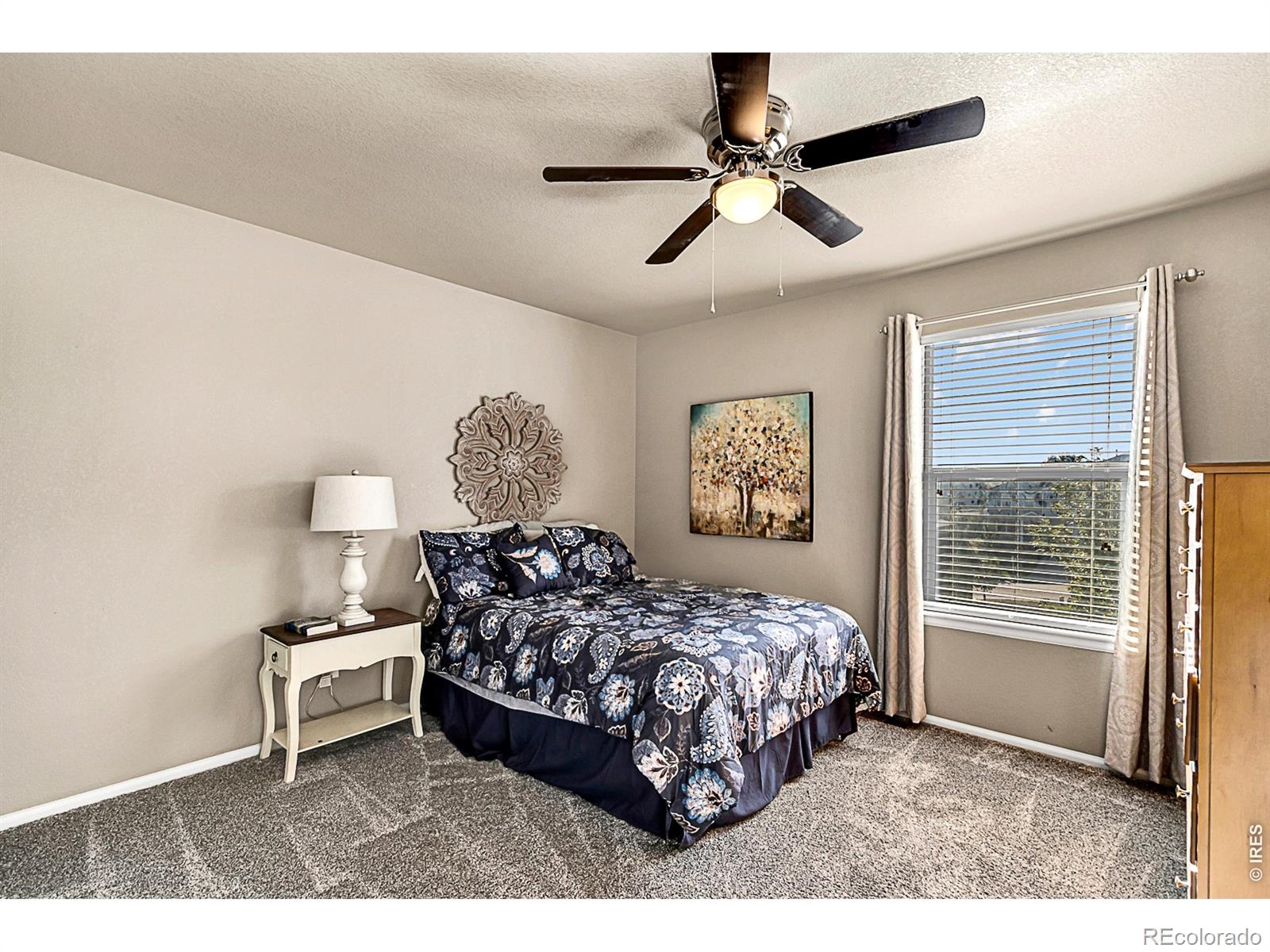 MLS Image #15 for 2169  longfin drive,windsor, Colorado