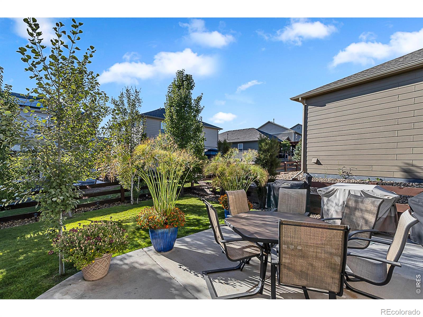MLS Image #21 for 2169  longfin drive,windsor, Colorado