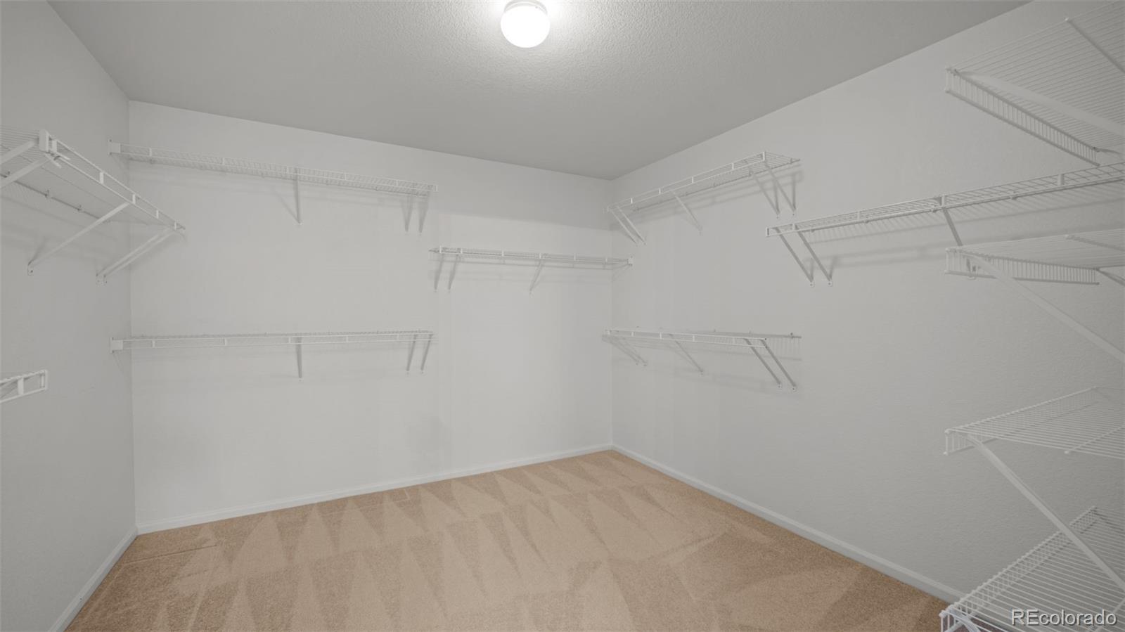 MLS Image #22 for 7948  firecracker trail,fountain, Colorado