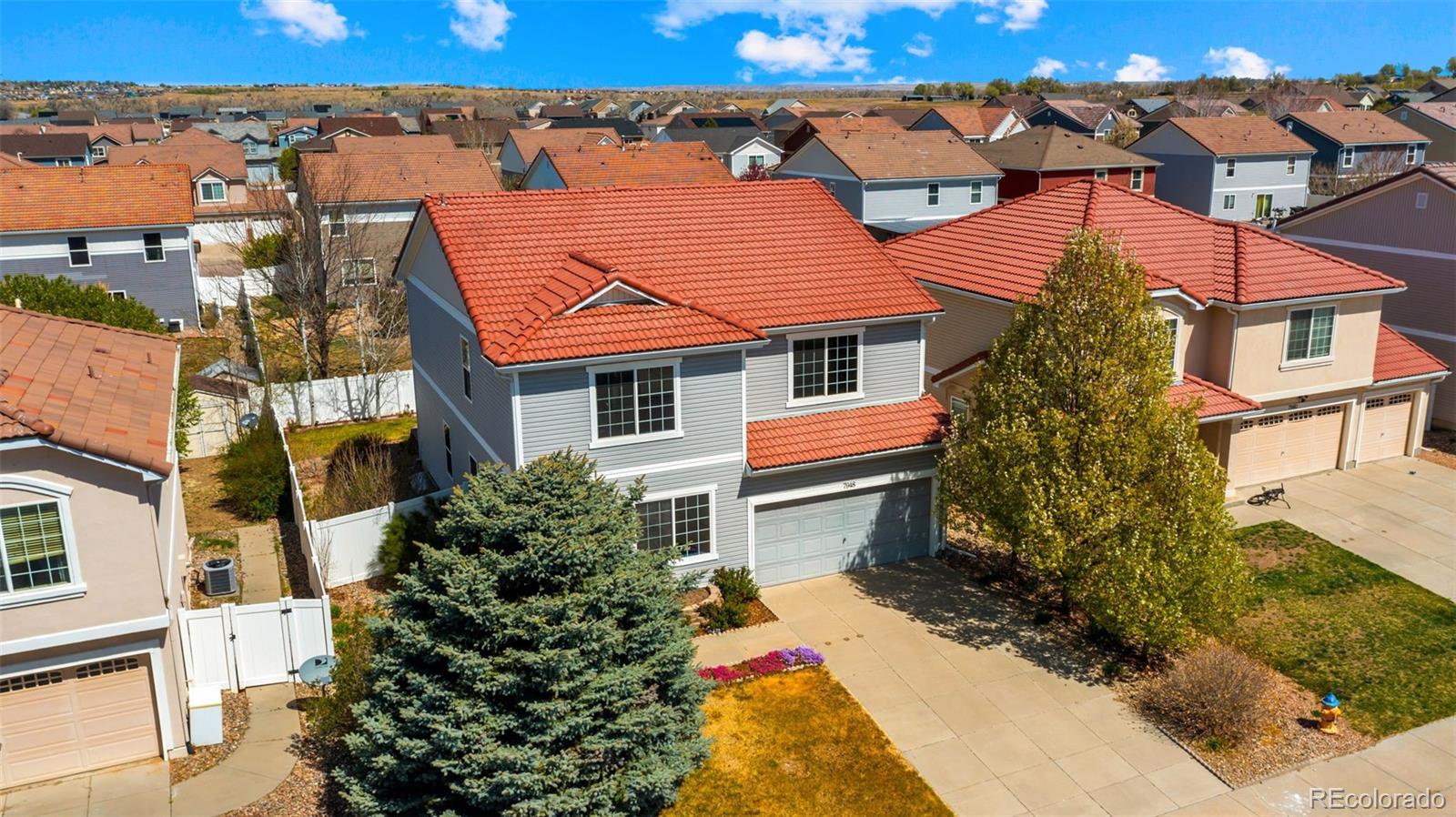 MLS Image #34 for 7948  firecracker trail,fountain, Colorado