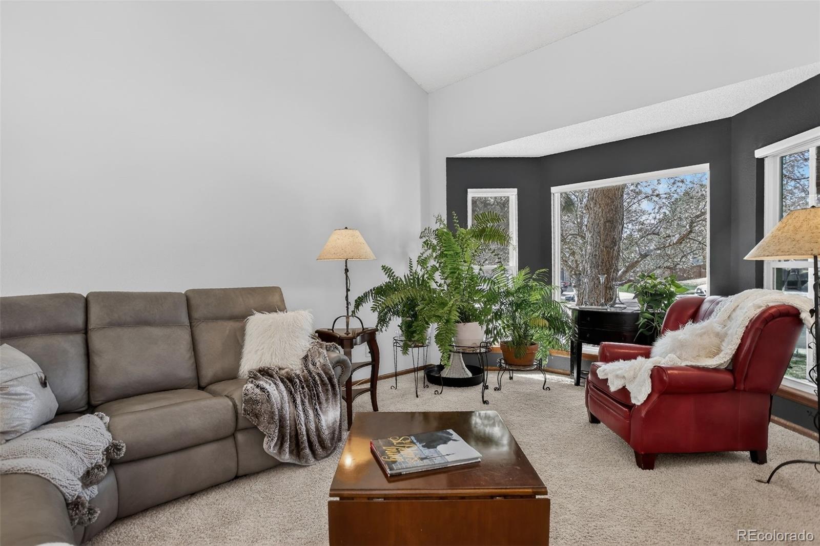 MLS Image #9 for 8864 s indian creek street,highlands ranch, Colorado