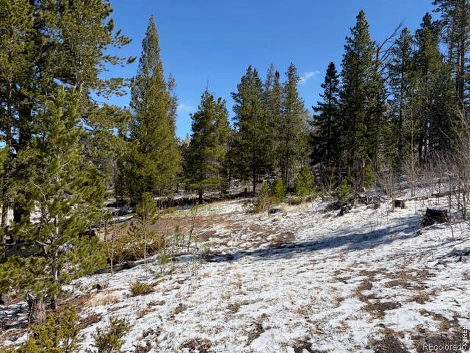 MLS Image #31 for 885  pratt creek road,livermore, Colorado