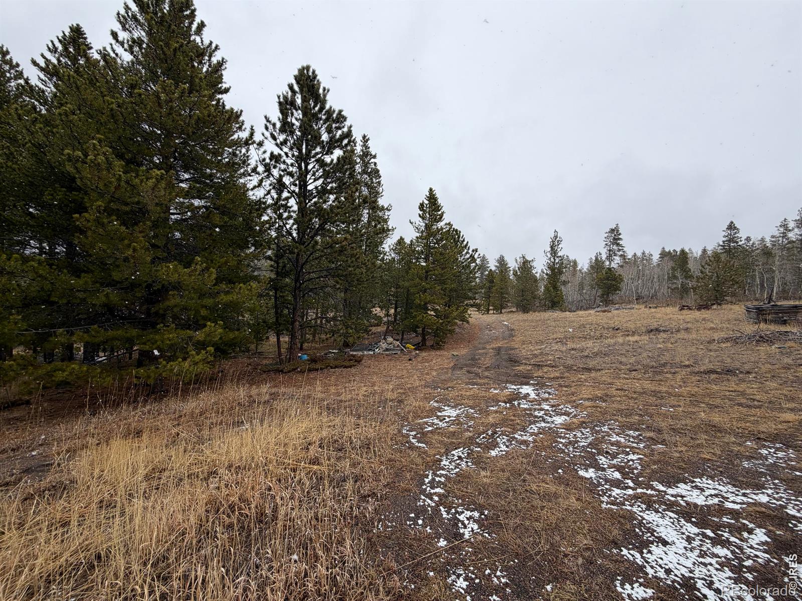 MLS Image #8 for 885  pratt creek road,livermore, Colorado