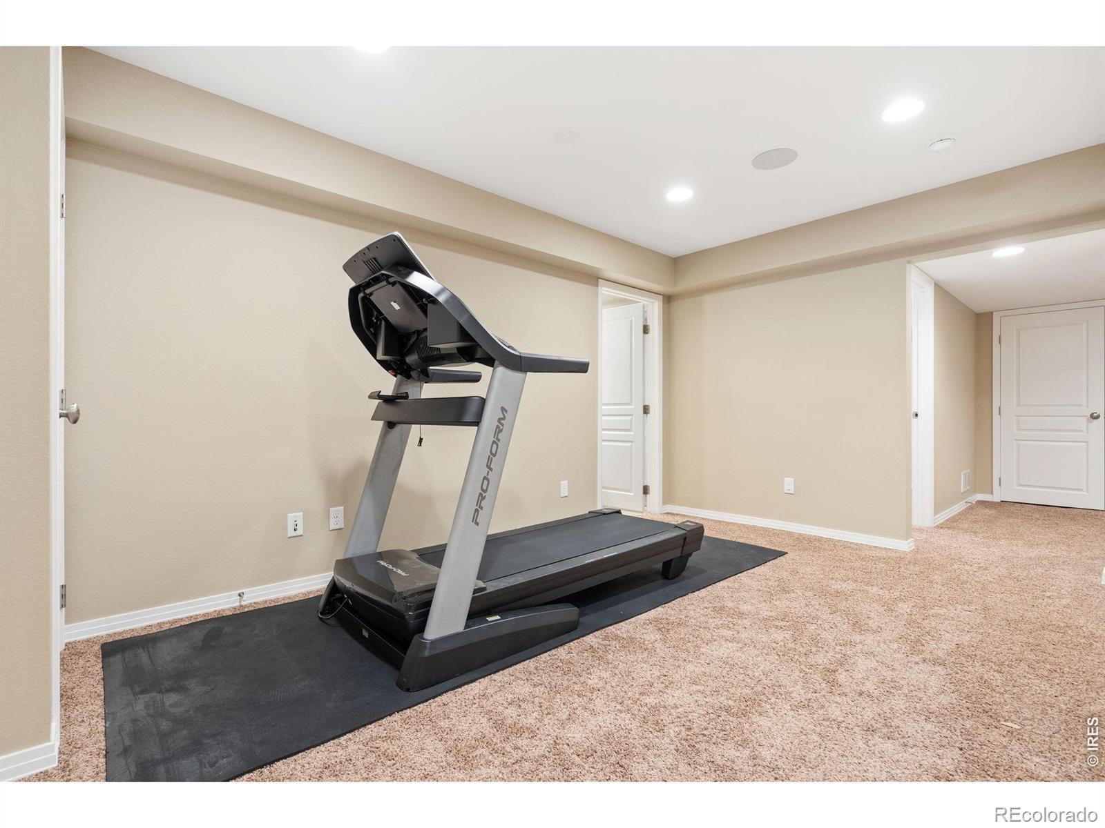 MLS Image #29 for 2626  autumn harvest way,fort collins, Colorado