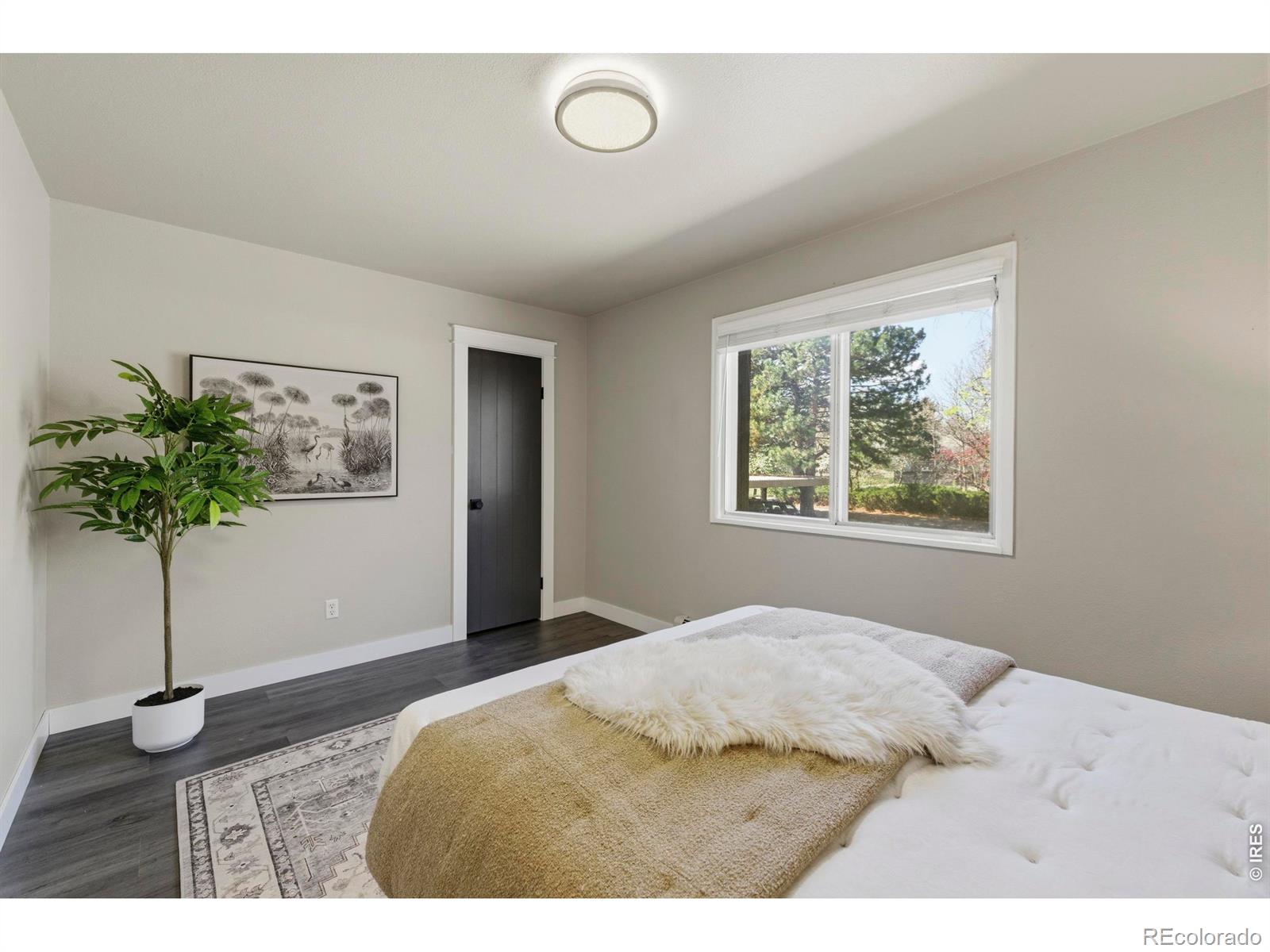 MLS Image #18 for 1305  kirkwood drive,fort collins, Colorado