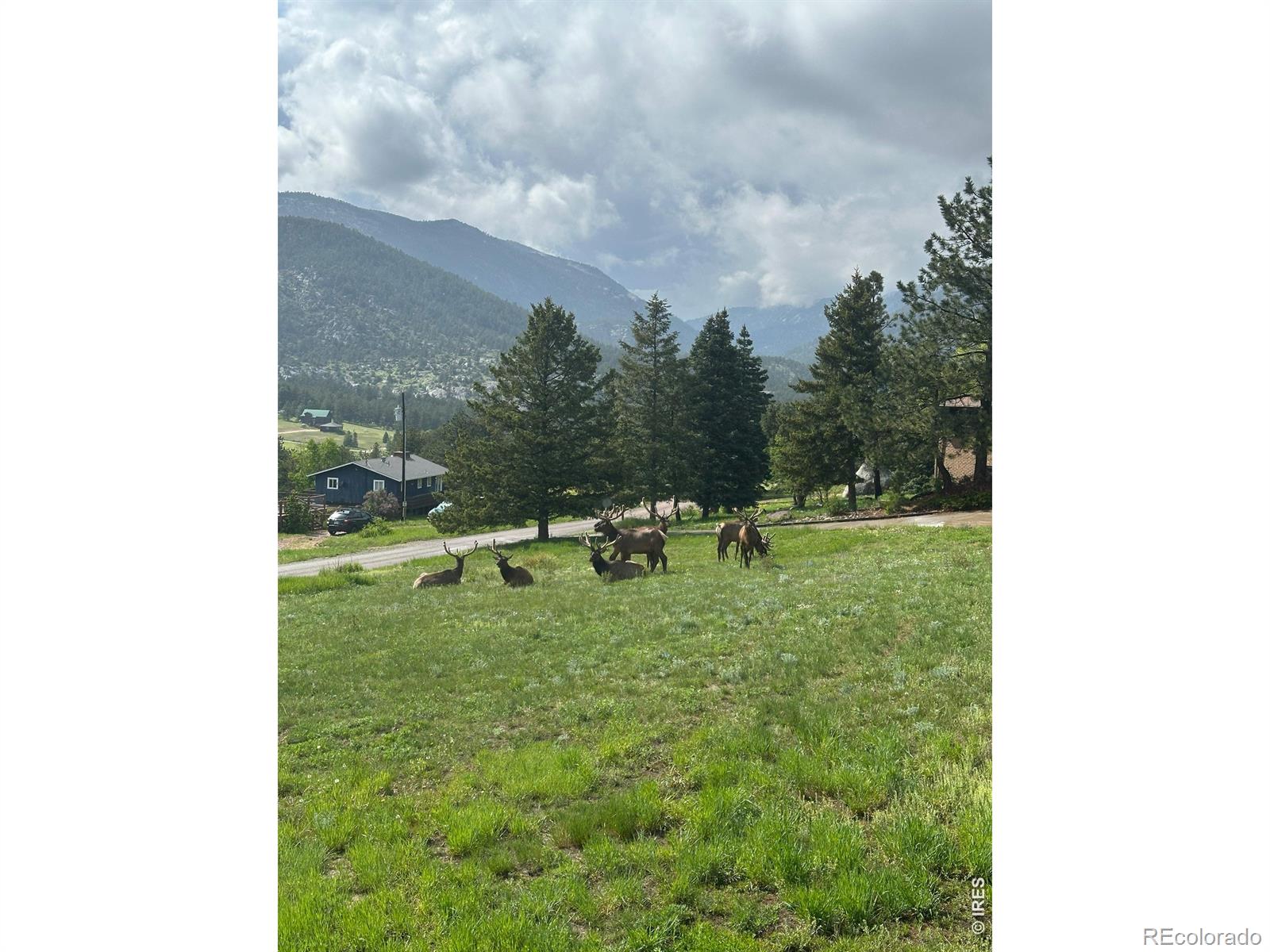 MLS Image #5 for 48  button rock road,lyons, Colorado