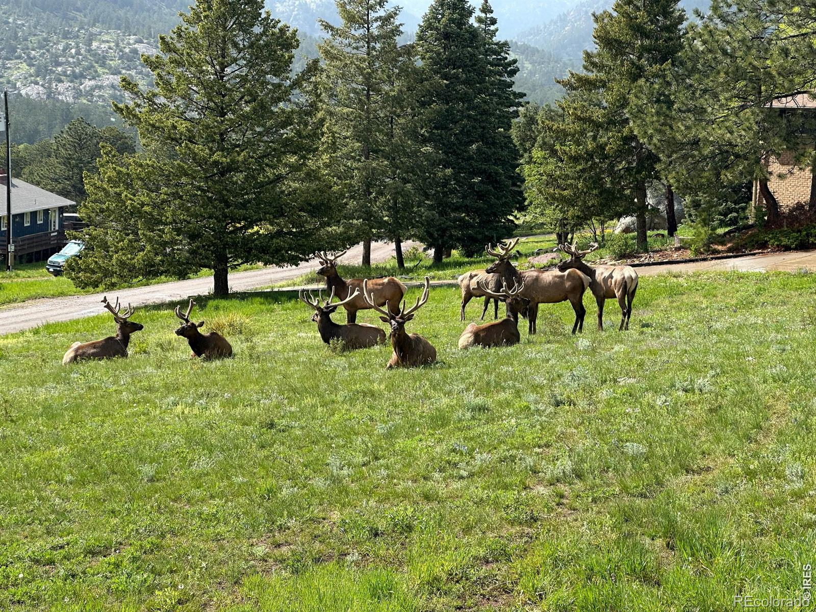 MLS Image #8 for 48  button rock road,lyons, Colorado