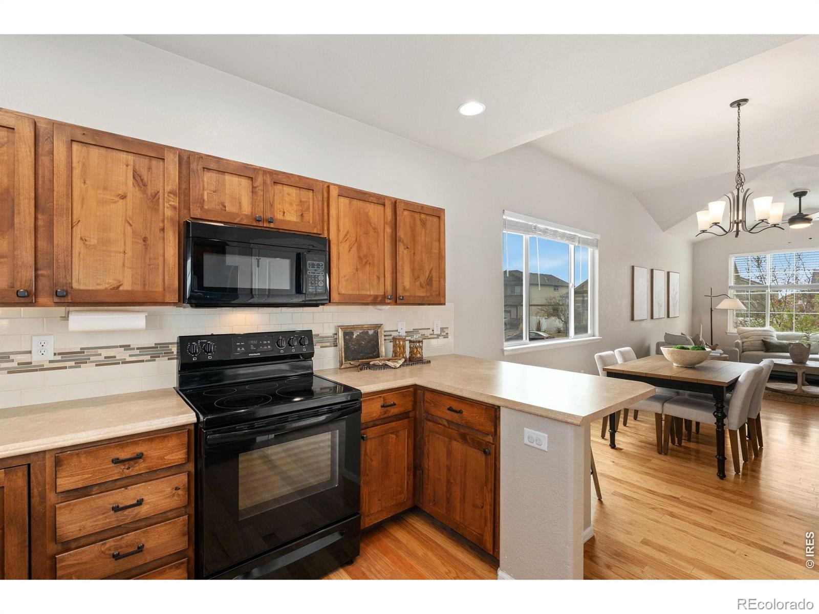MLS Image #10 for 852  sunlight peak drive,severance, Colorado