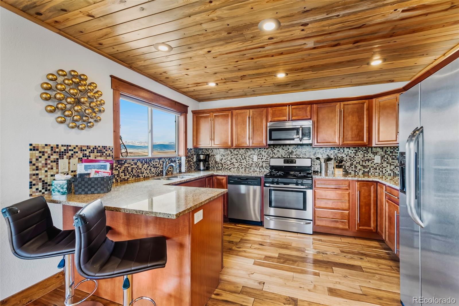 MLS Image #14 for 273  bonell drive,fairplay, Colorado