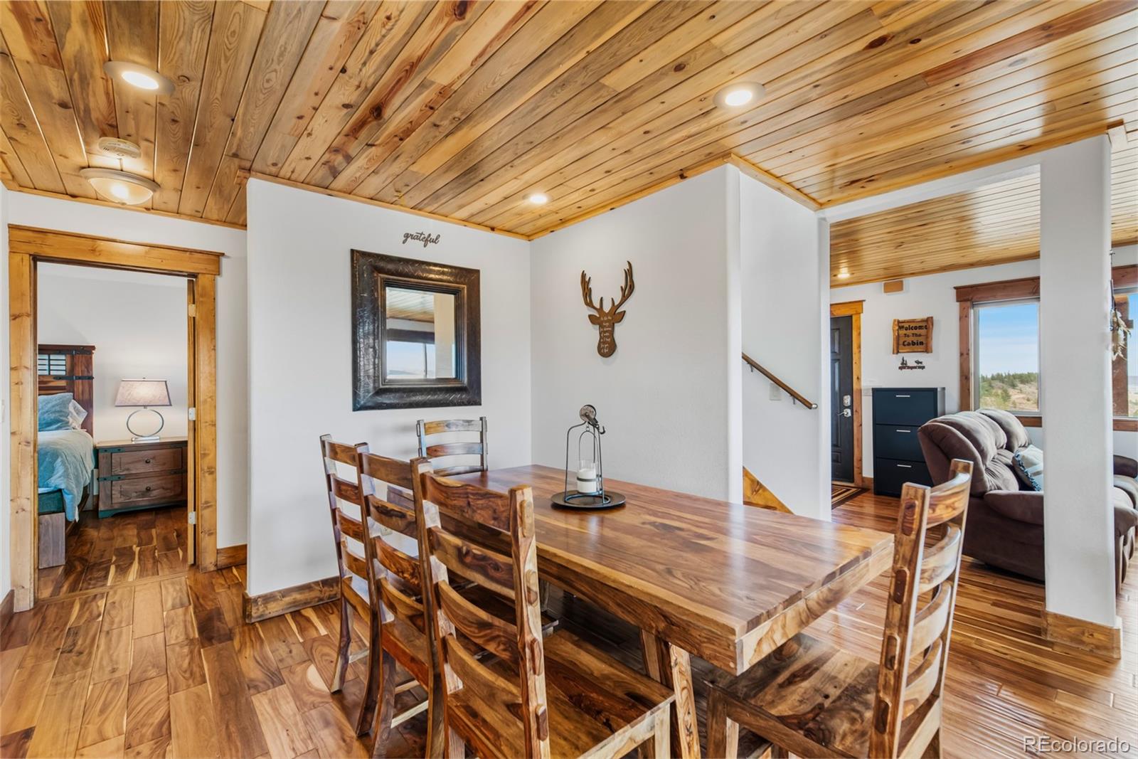 MLS Image #18 for 273  bonell drive,fairplay, Colorado