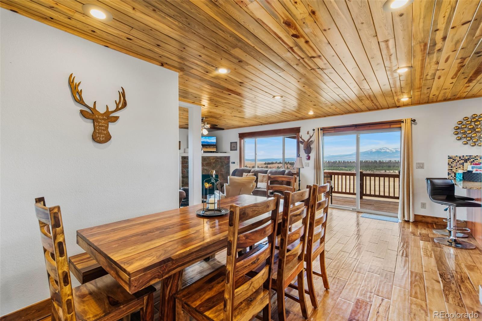 MLS Image #19 for 273  bonell drive,fairplay, Colorado