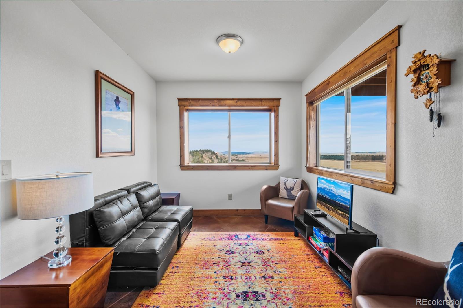 MLS Image #29 for 273  bonell drive,fairplay, Colorado