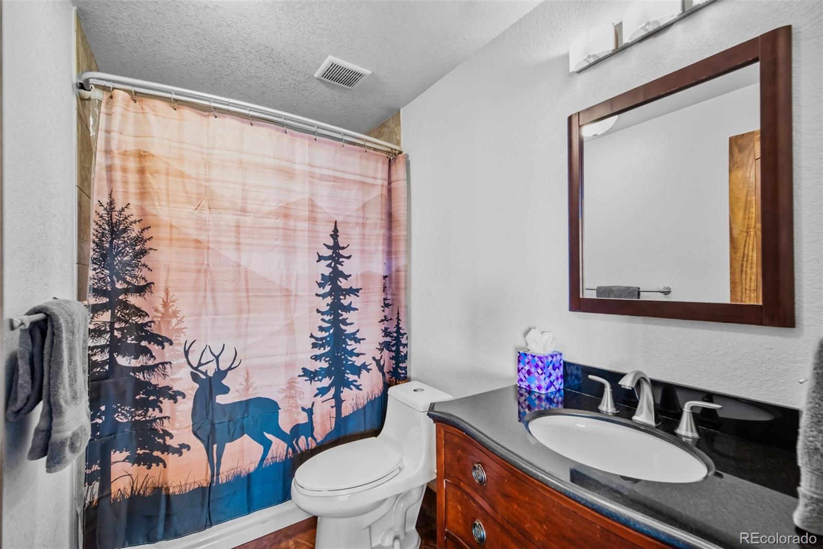 MLS Image #36 for 273  bonell drive,fairplay, Colorado