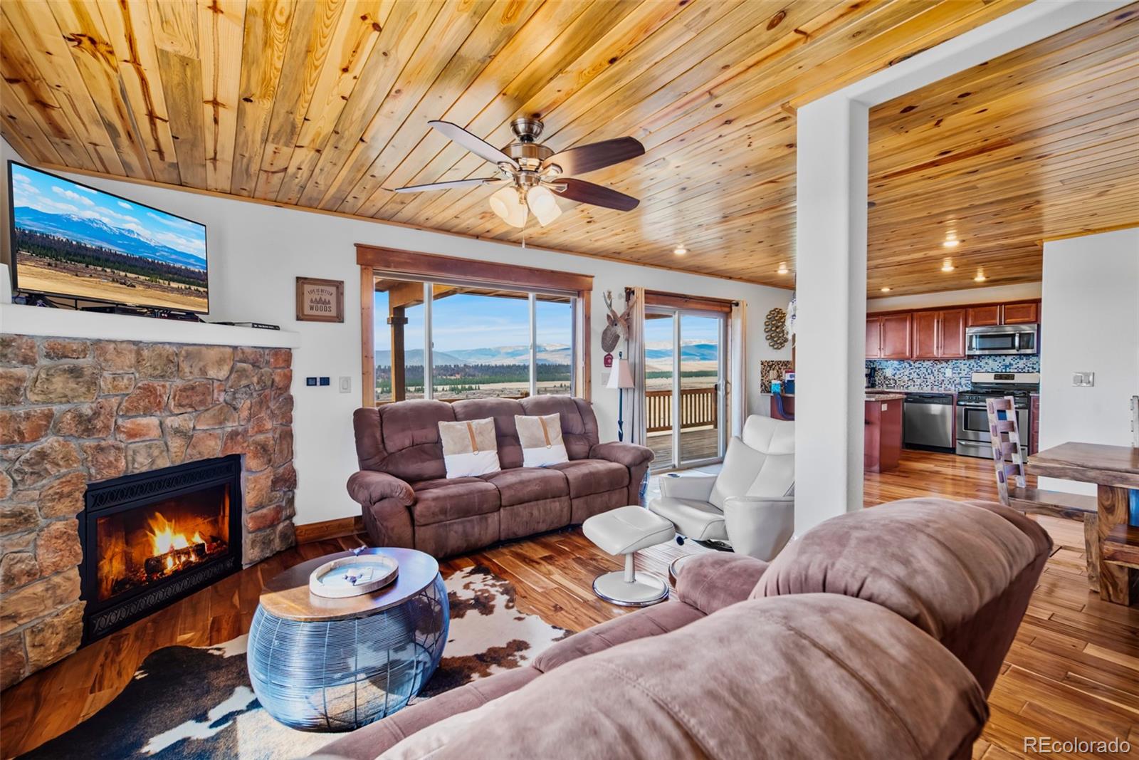 MLS Image #9 for 273  bonell drive,fairplay, Colorado