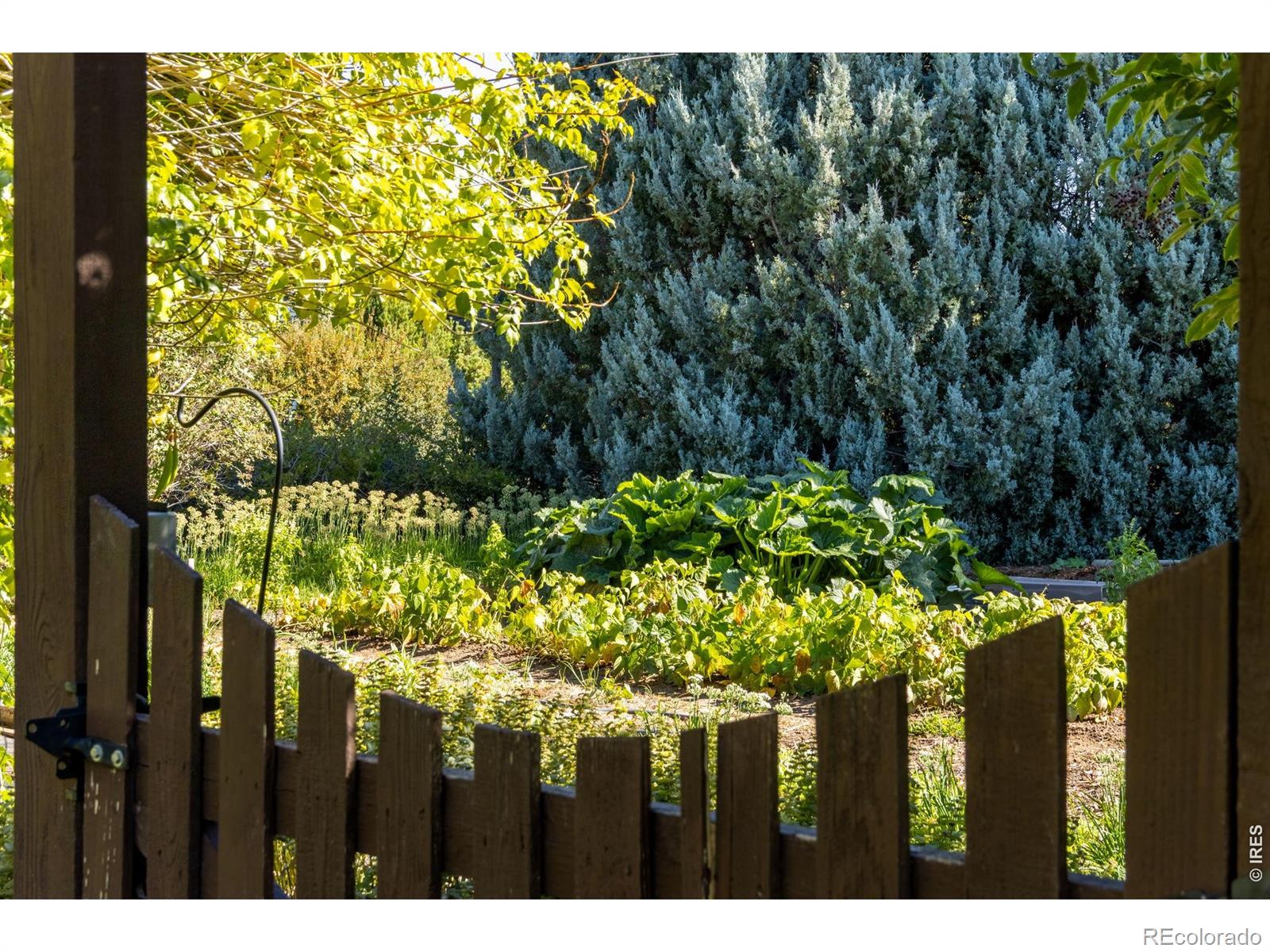 MLS Image #42 for 525  linden view drive,fort collins, Colorado