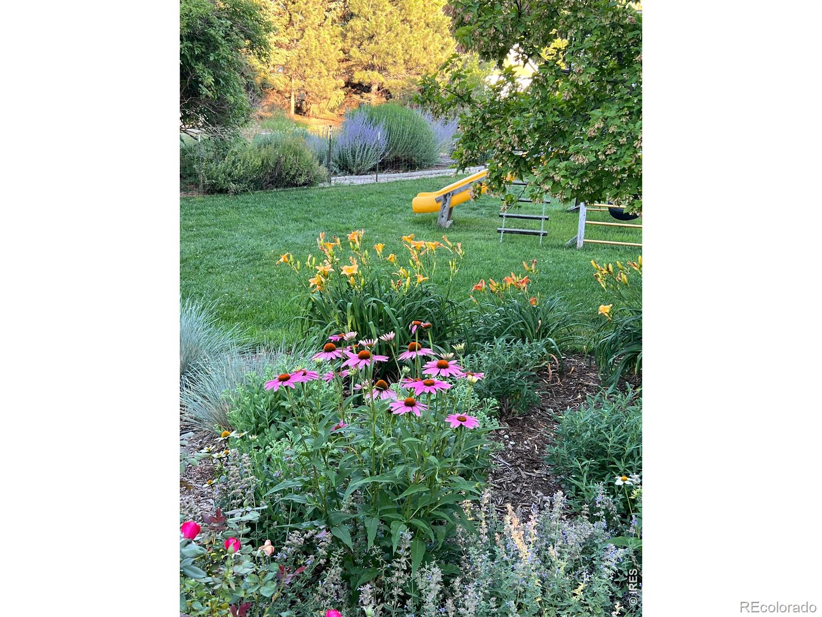 MLS Image #47 for 525  linden view drive,fort collins, Colorado