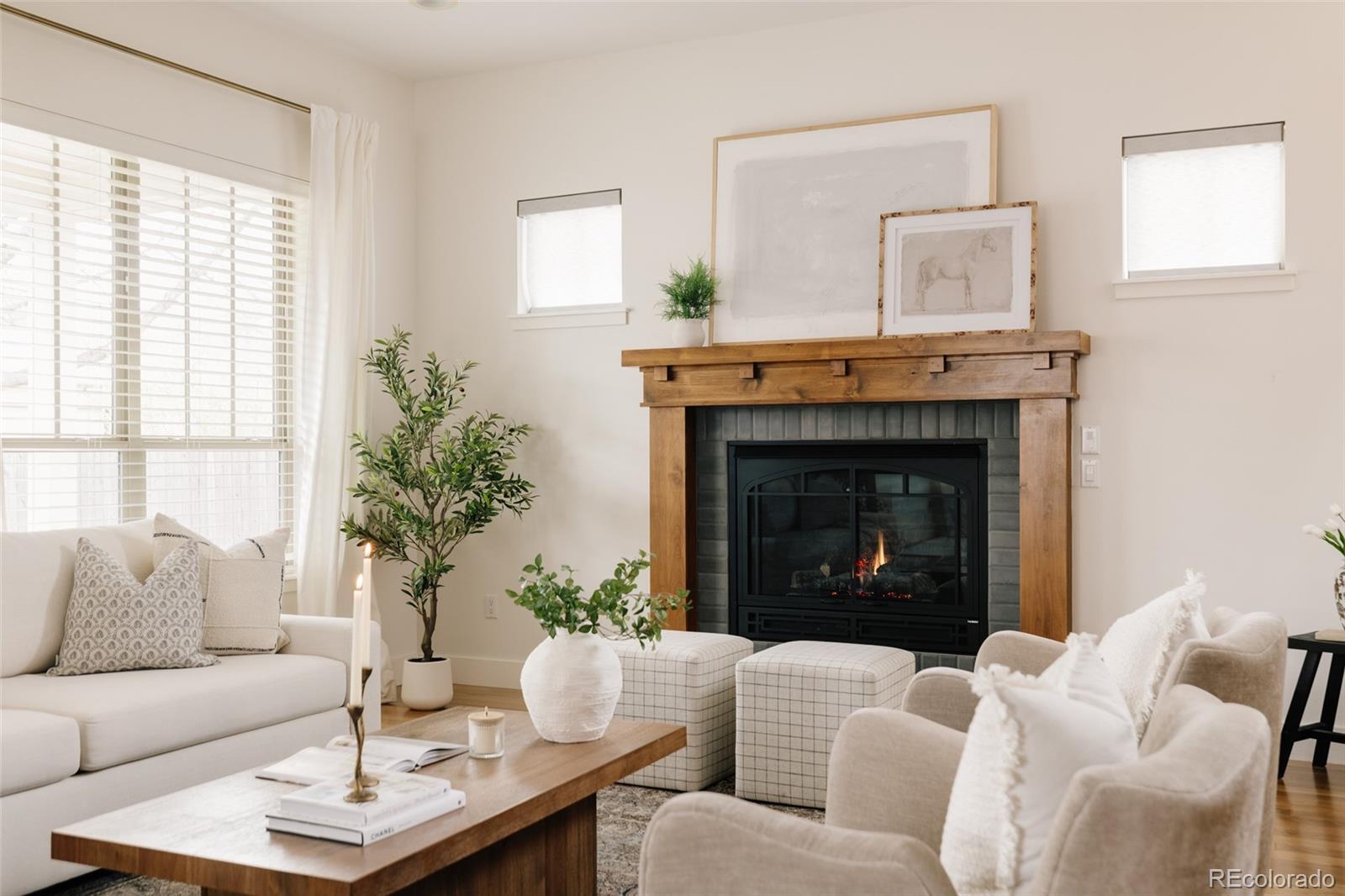 MLS Image #8 for 1644 s lafayette street,denver, Colorado