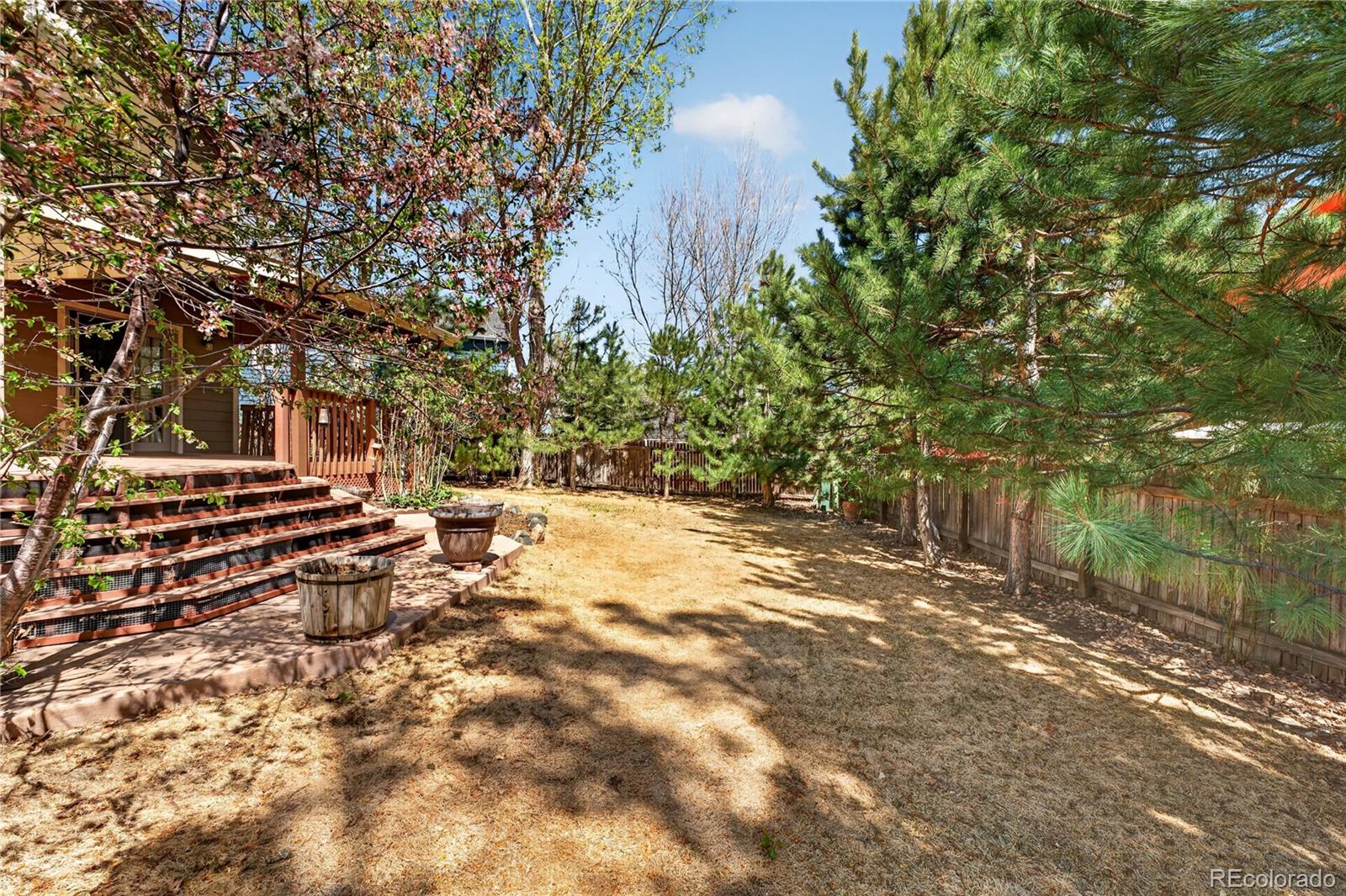 MLS Image #11 for 12272  winona drive,broomfield, Colorado