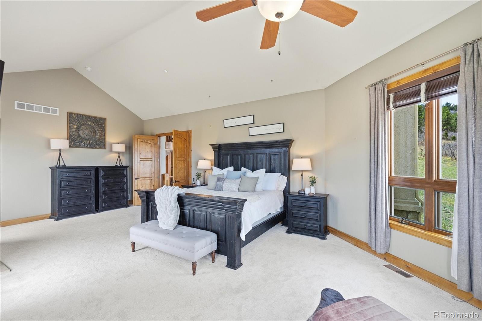 MLS Image #13 for 4595  high spring road,castle rock, Colorado