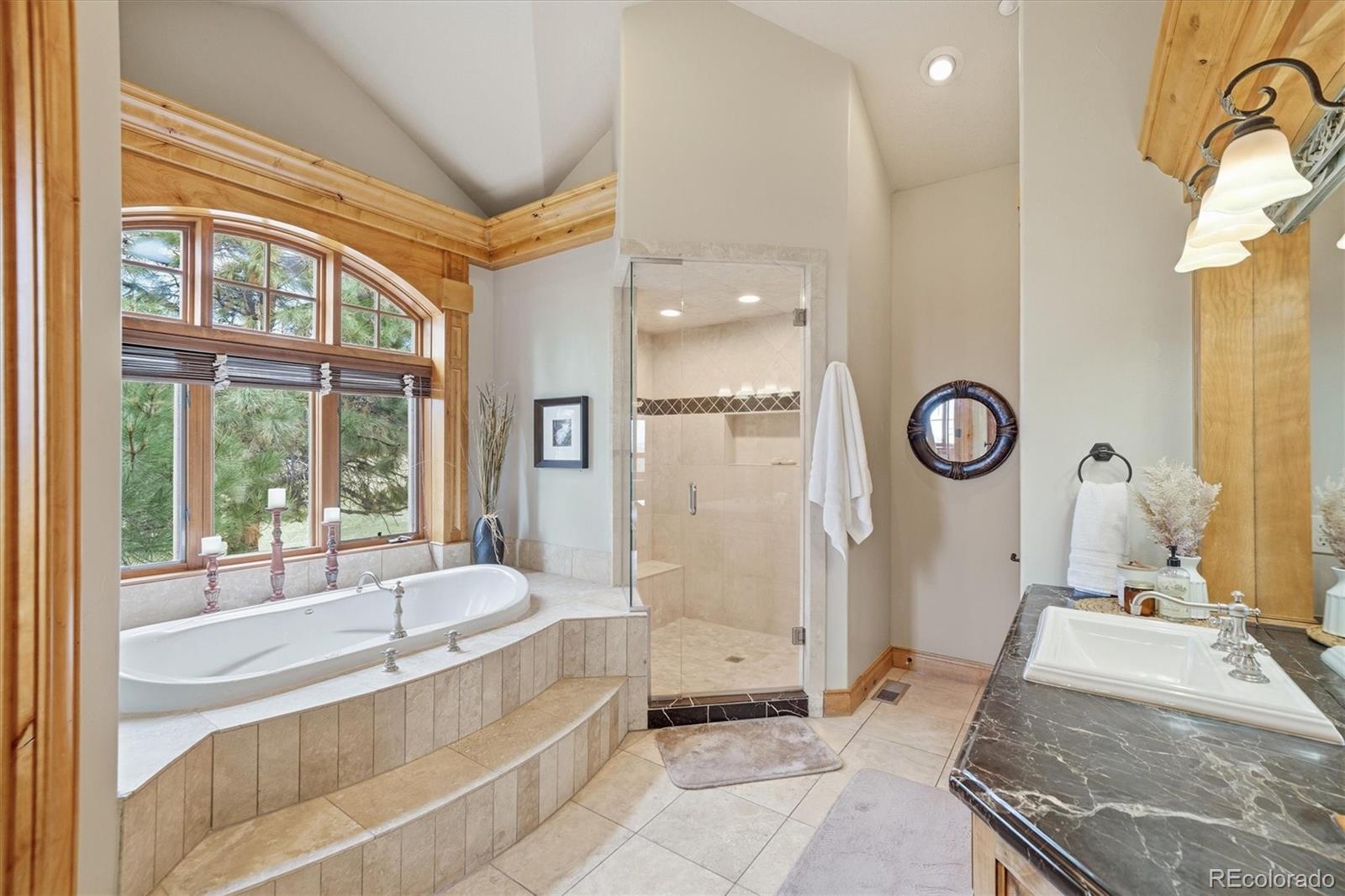 MLS Image #15 for 4595  high spring road,castle rock, Colorado