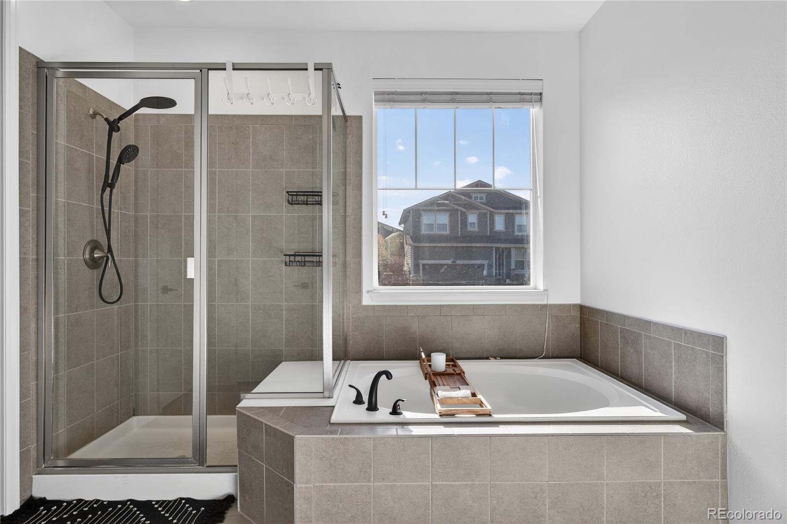 MLS Image #19 for 16601  concolor place,parker, Colorado