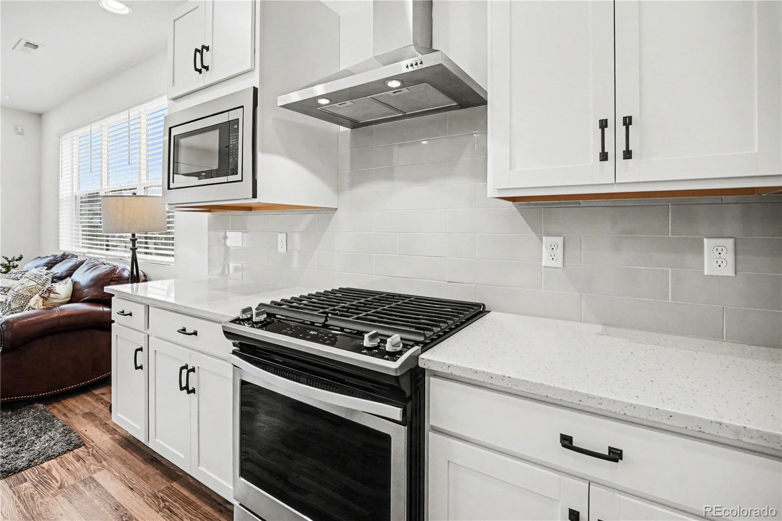 MLS Image #16 for 7917  yampa river avenue ,littleton, Colorado