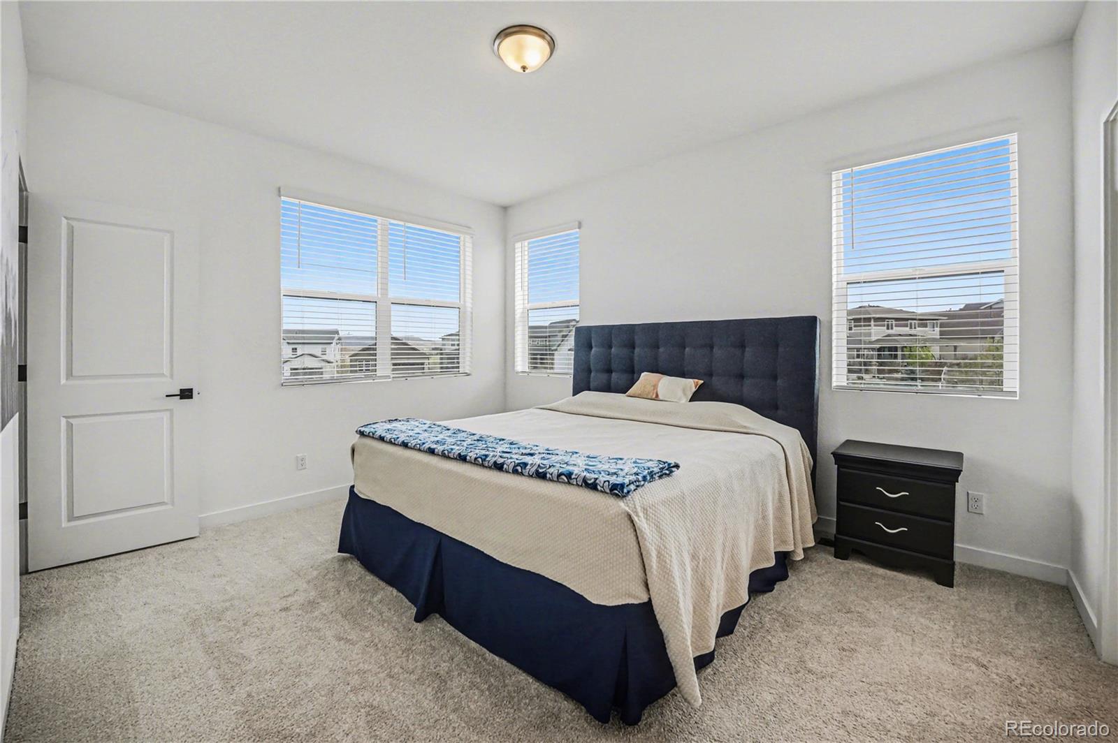 MLS Image #19 for 7917  yampa river avenue ,littleton, Colorado