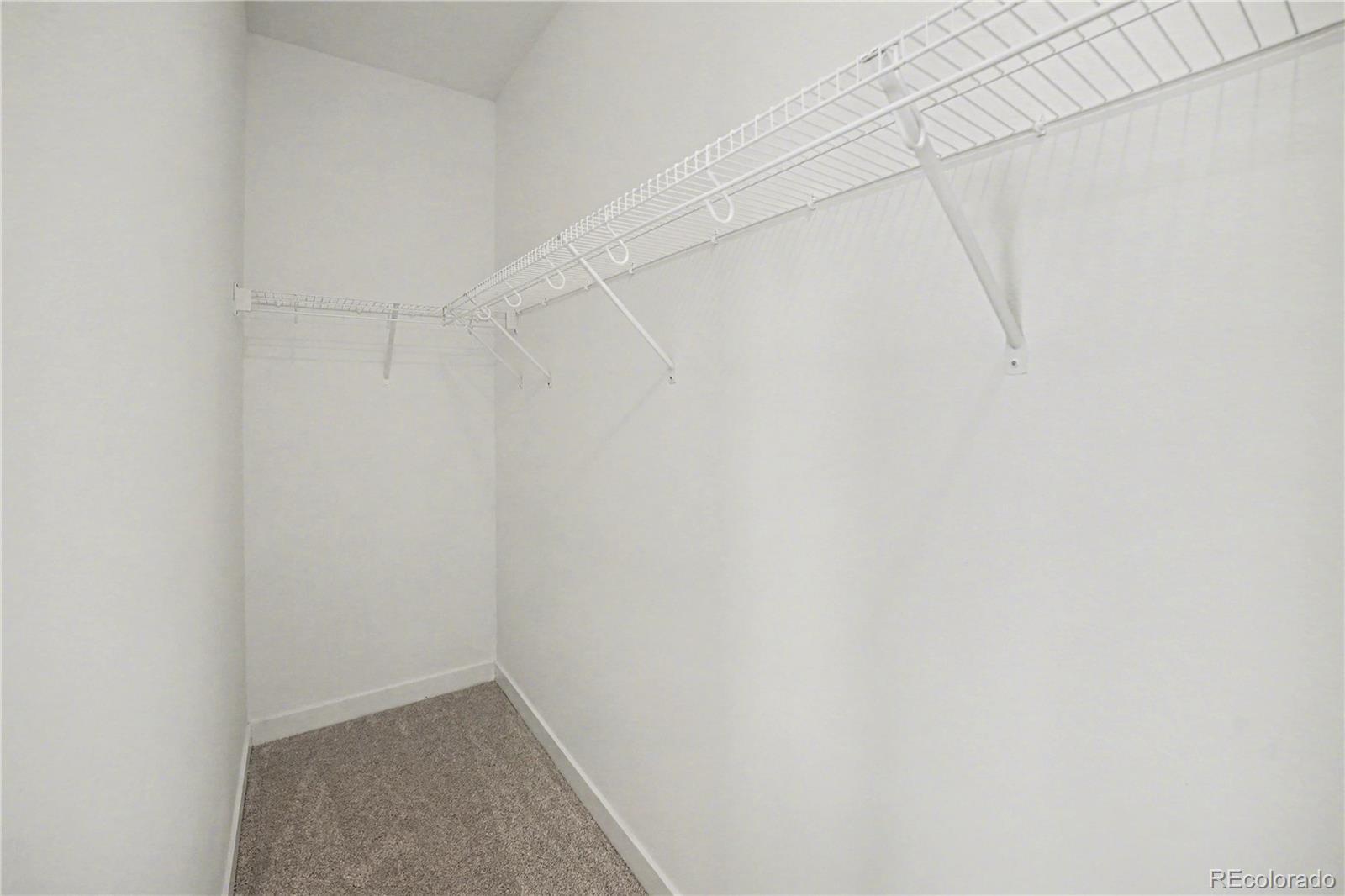 MLS Image #23 for 7917  yampa river avenue ,littleton, Colorado