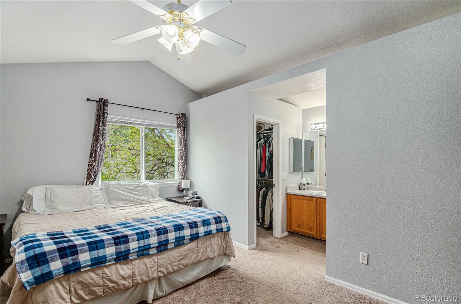 MLS Image #10 for 11349  haswell drive,parker, Colorado